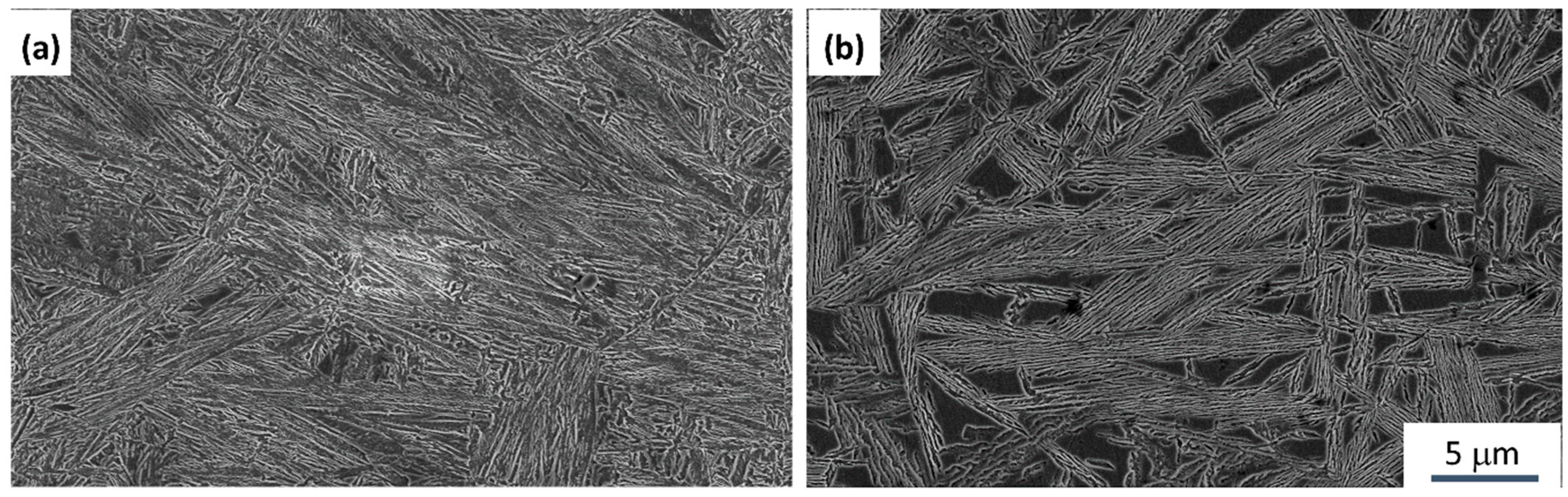 Metals 09 00925 g004