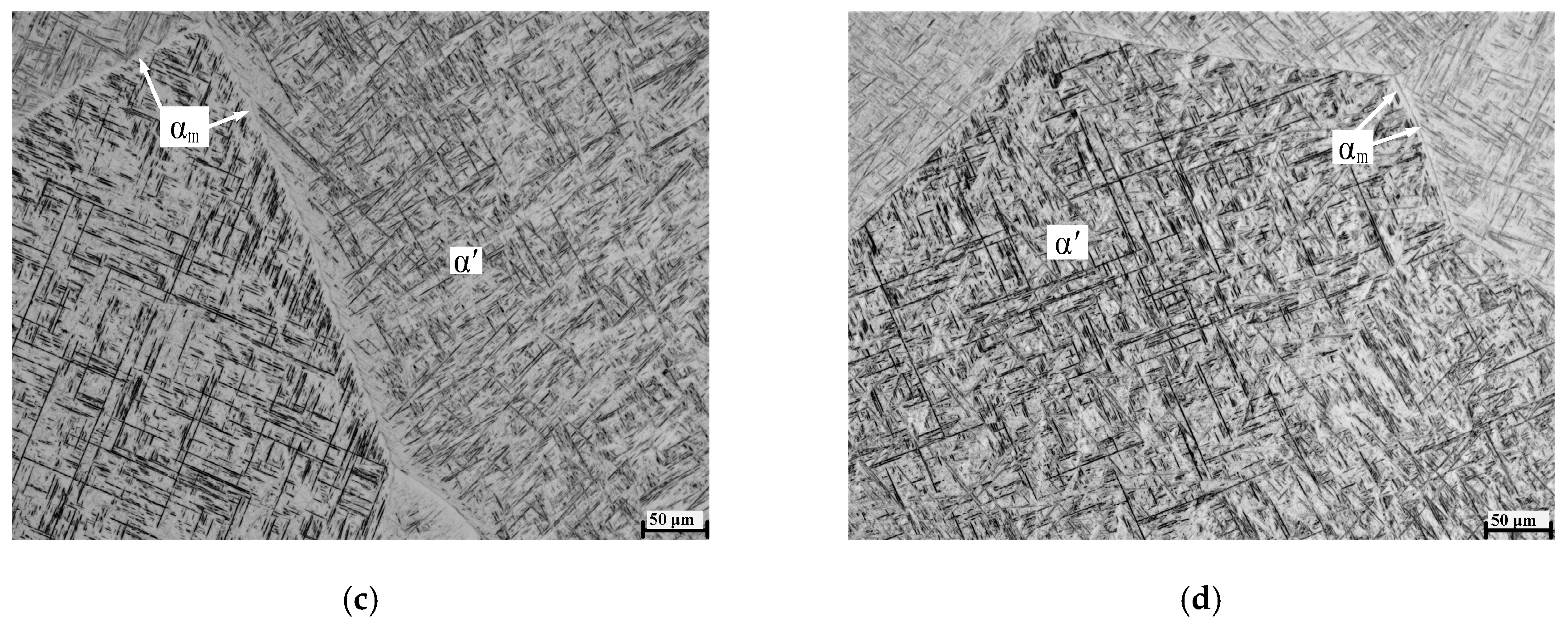 Metals 09 00968 g003b