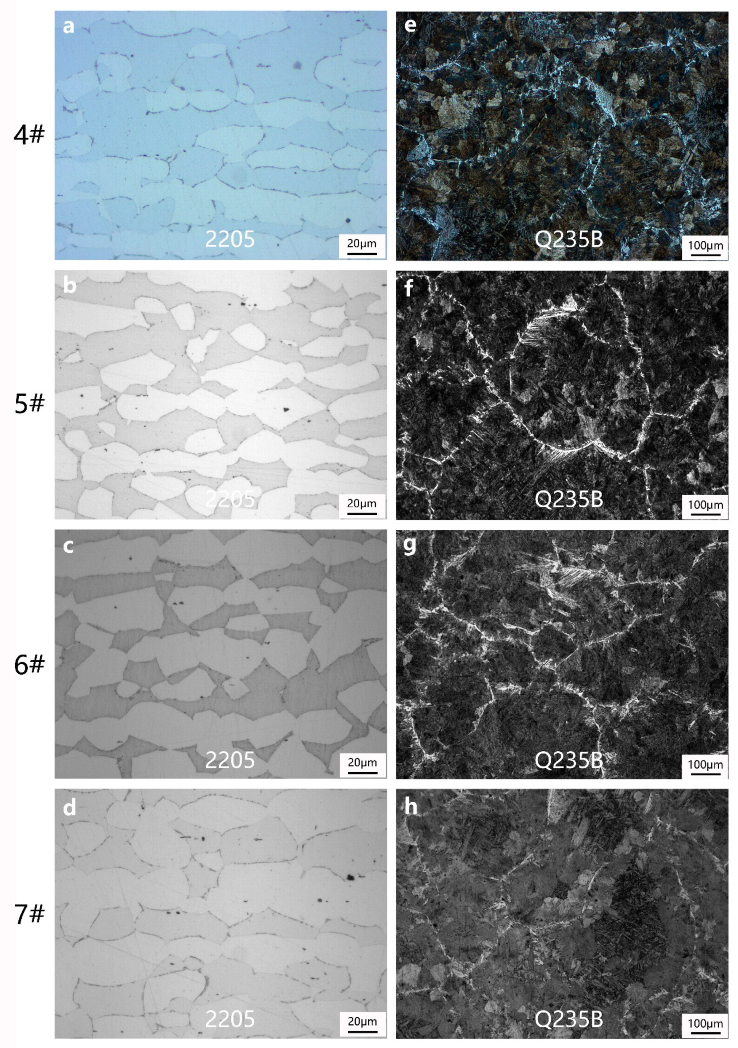 Metals 09 01027 g004