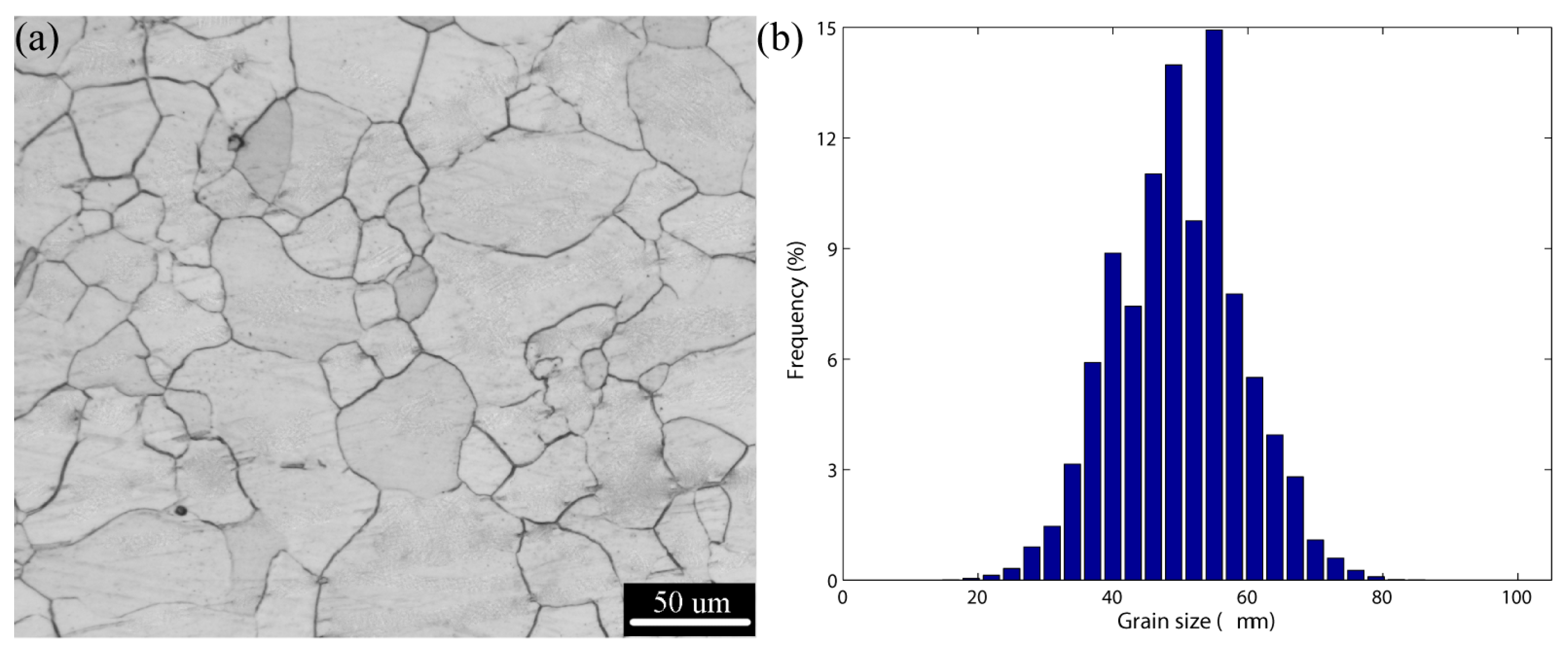 Metals 09 01028 g001