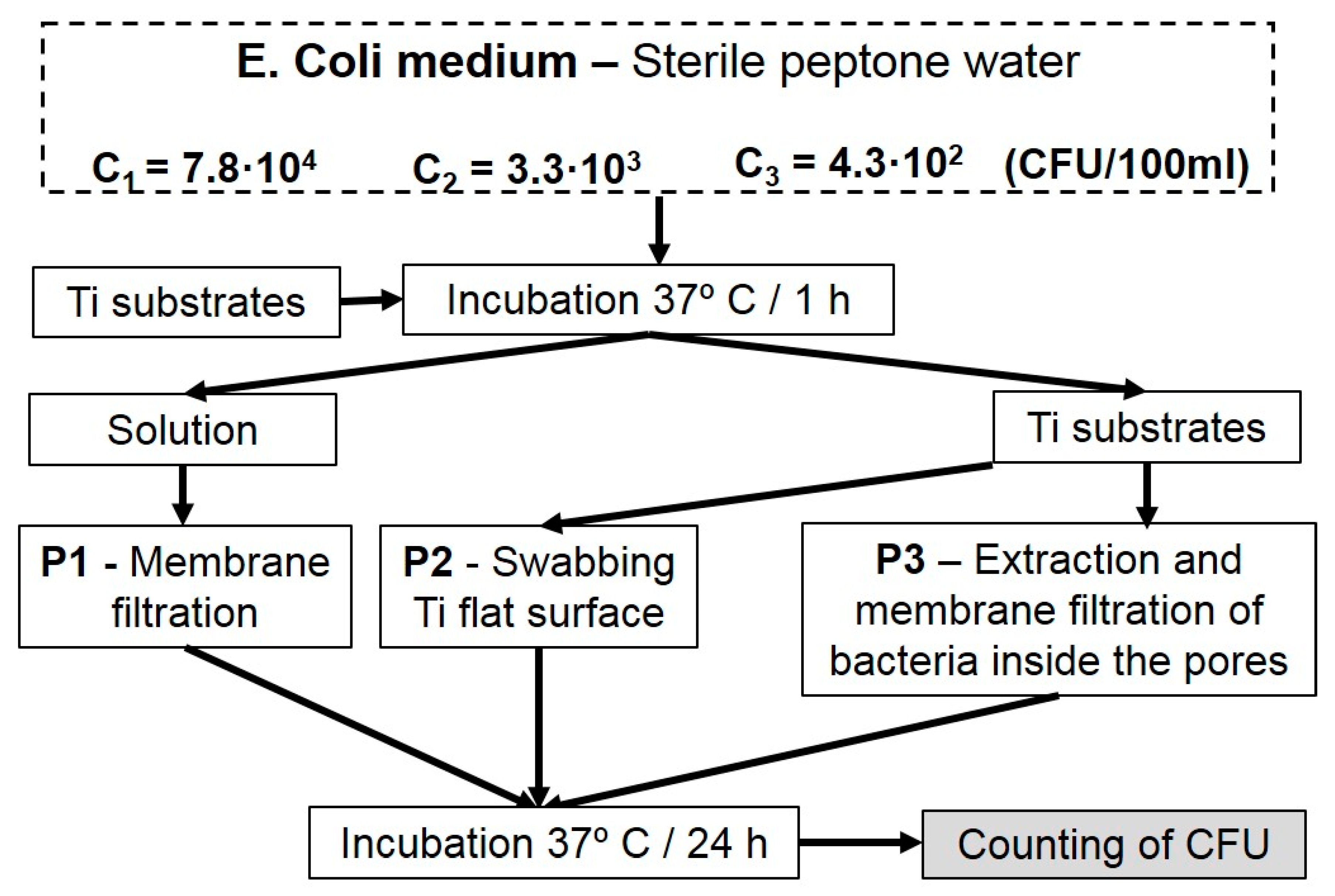 Metals 09 01039 g001