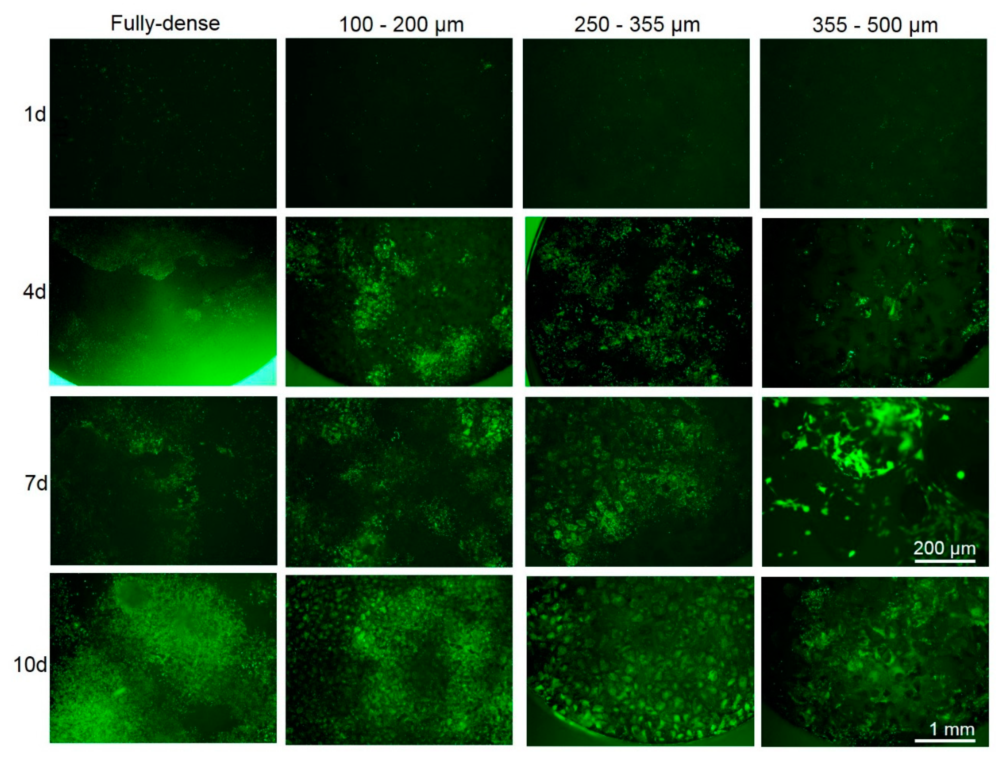 Metals 09 01039 g006