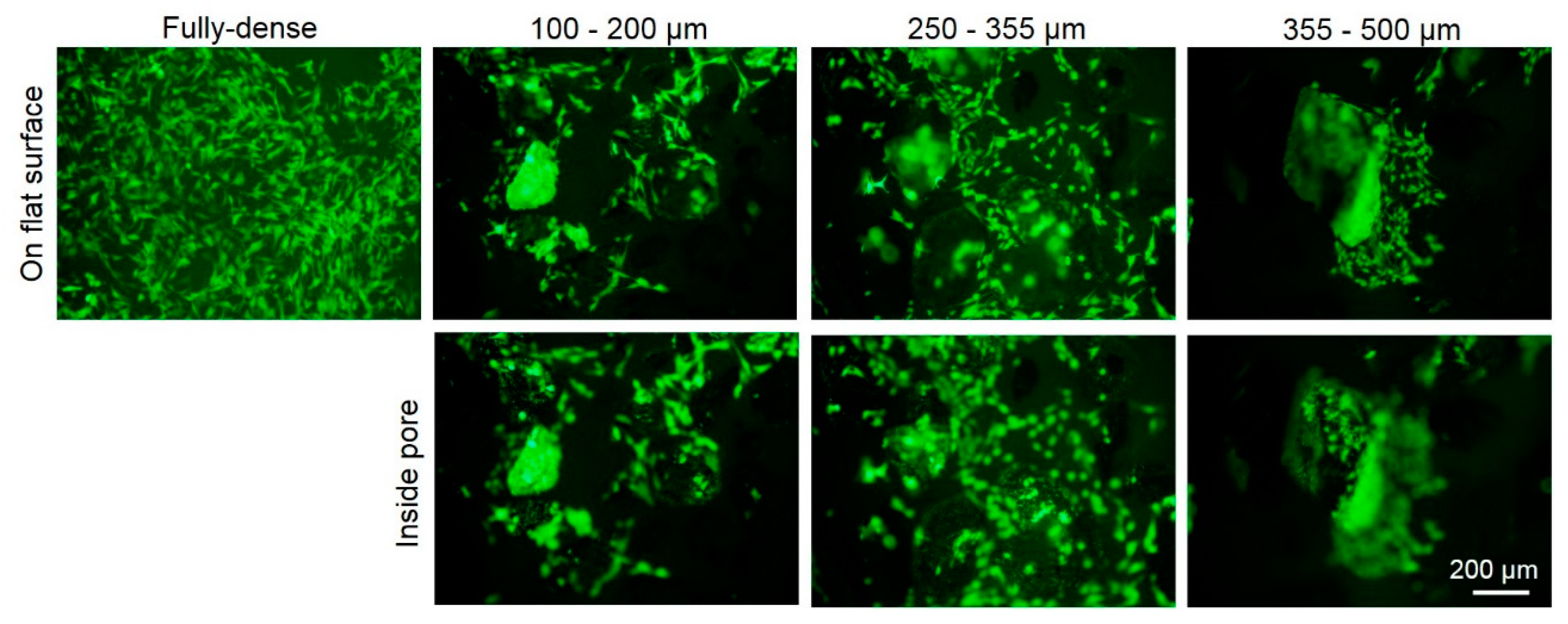 Metals 09 01039 g007