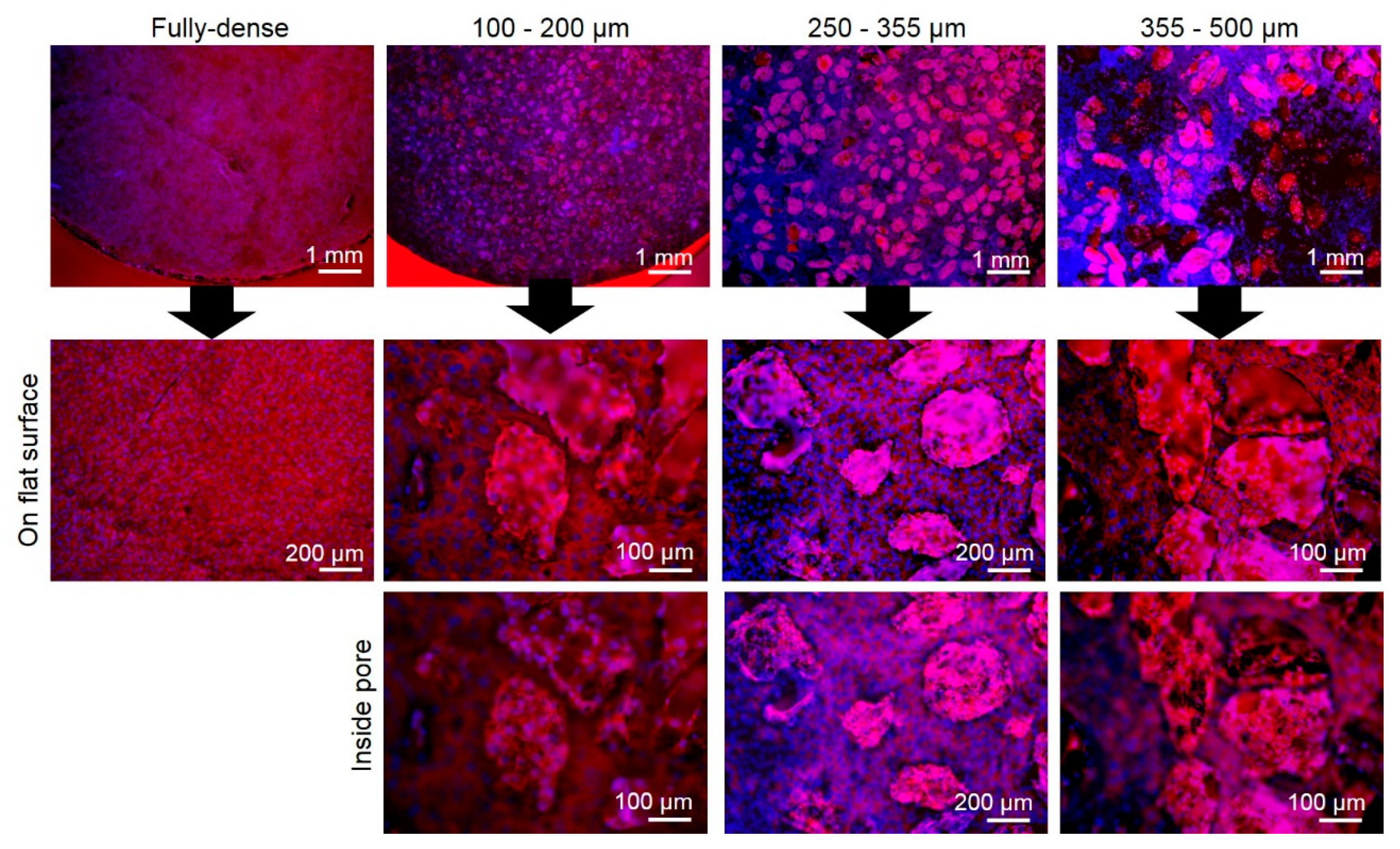 Metals 09 01039 g009