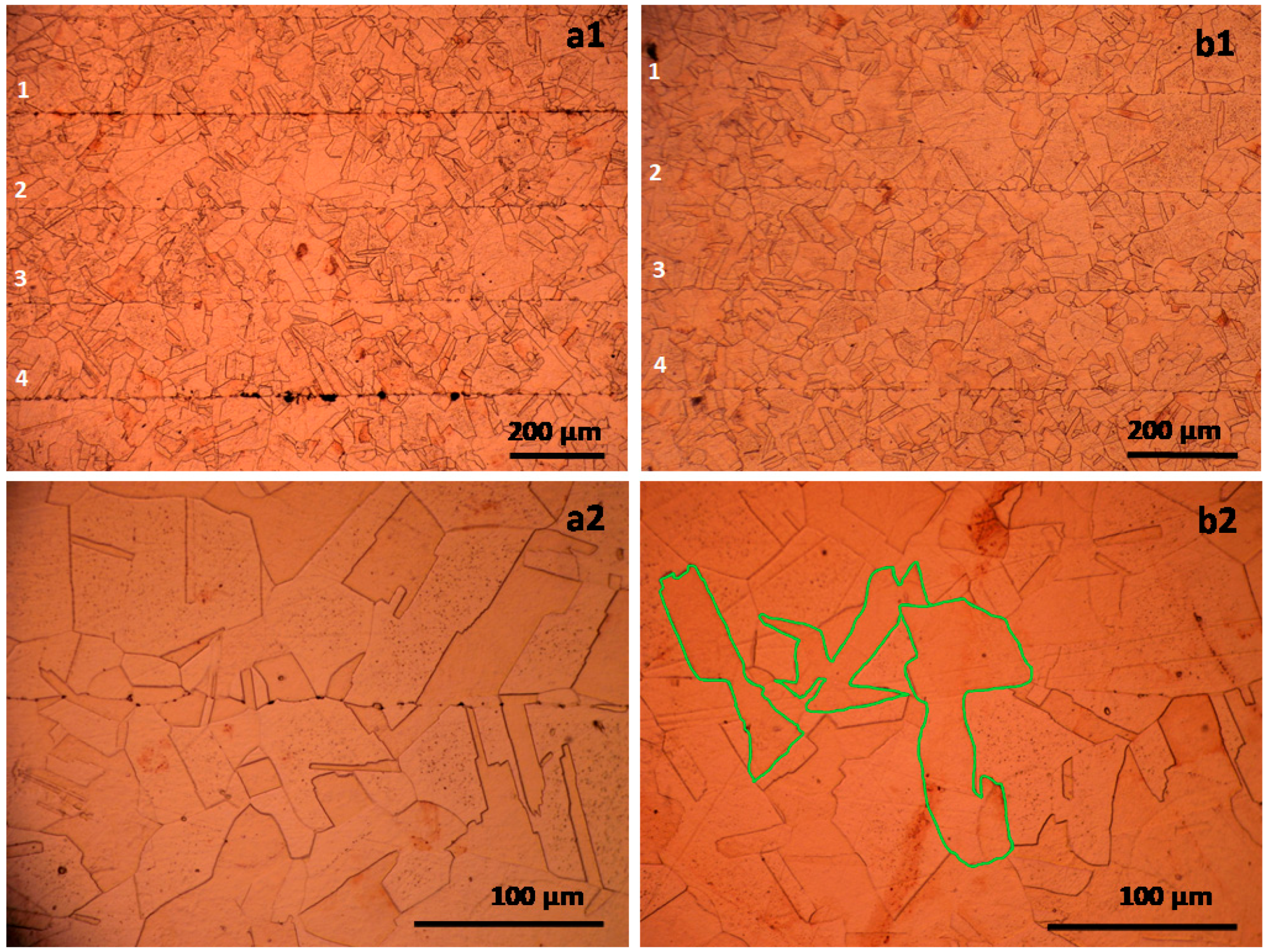 Metals 09 01044 g003