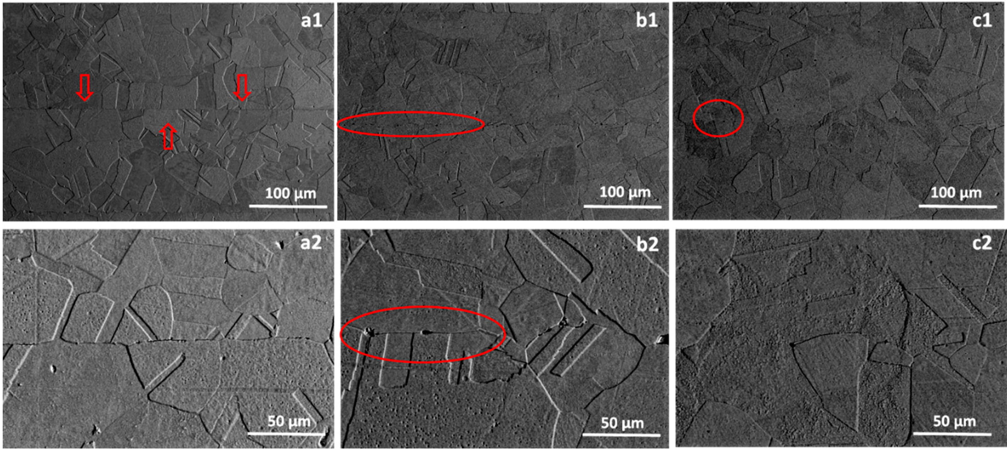 Metals 09 01044 g004