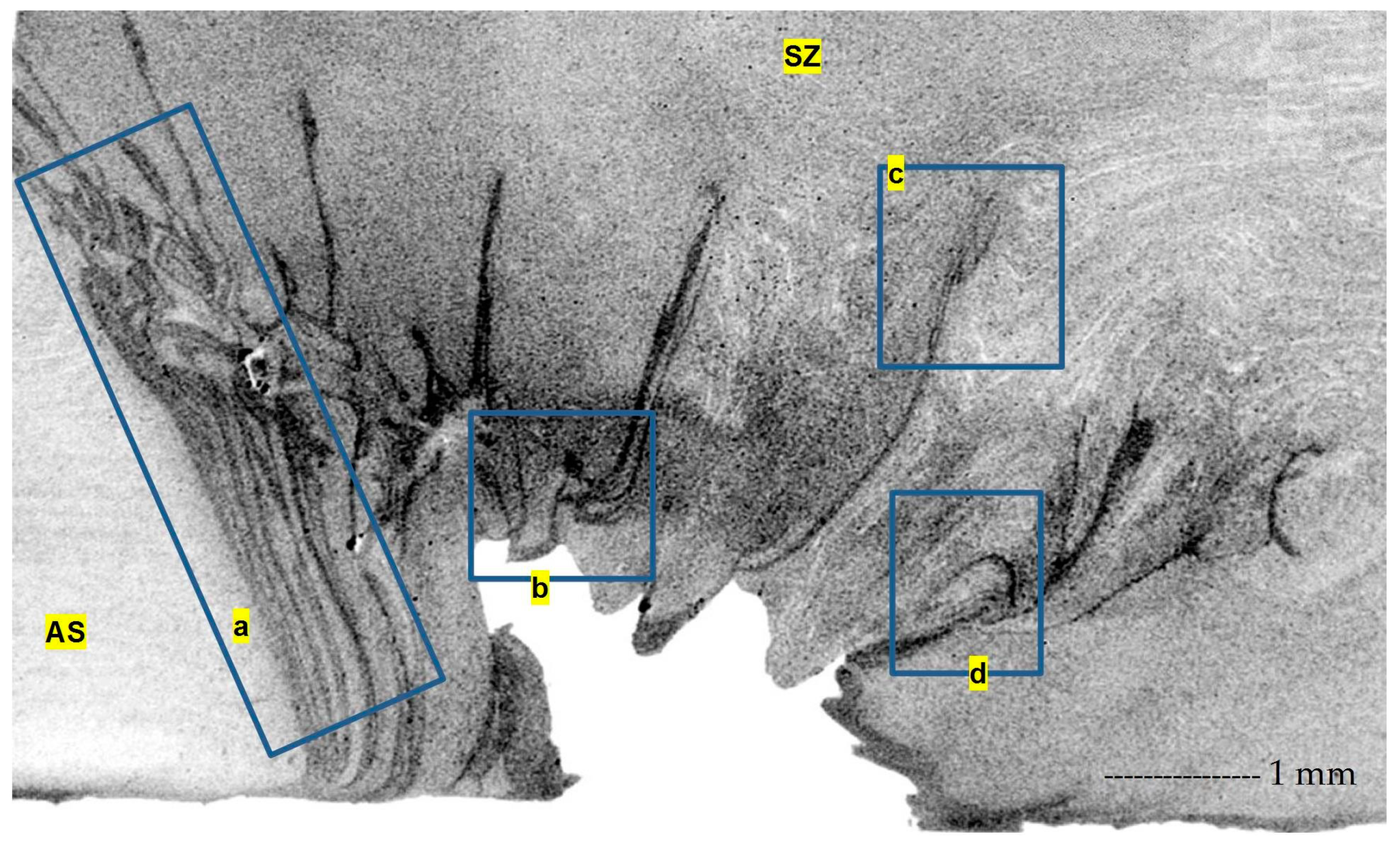 Metals 09 01059 g005