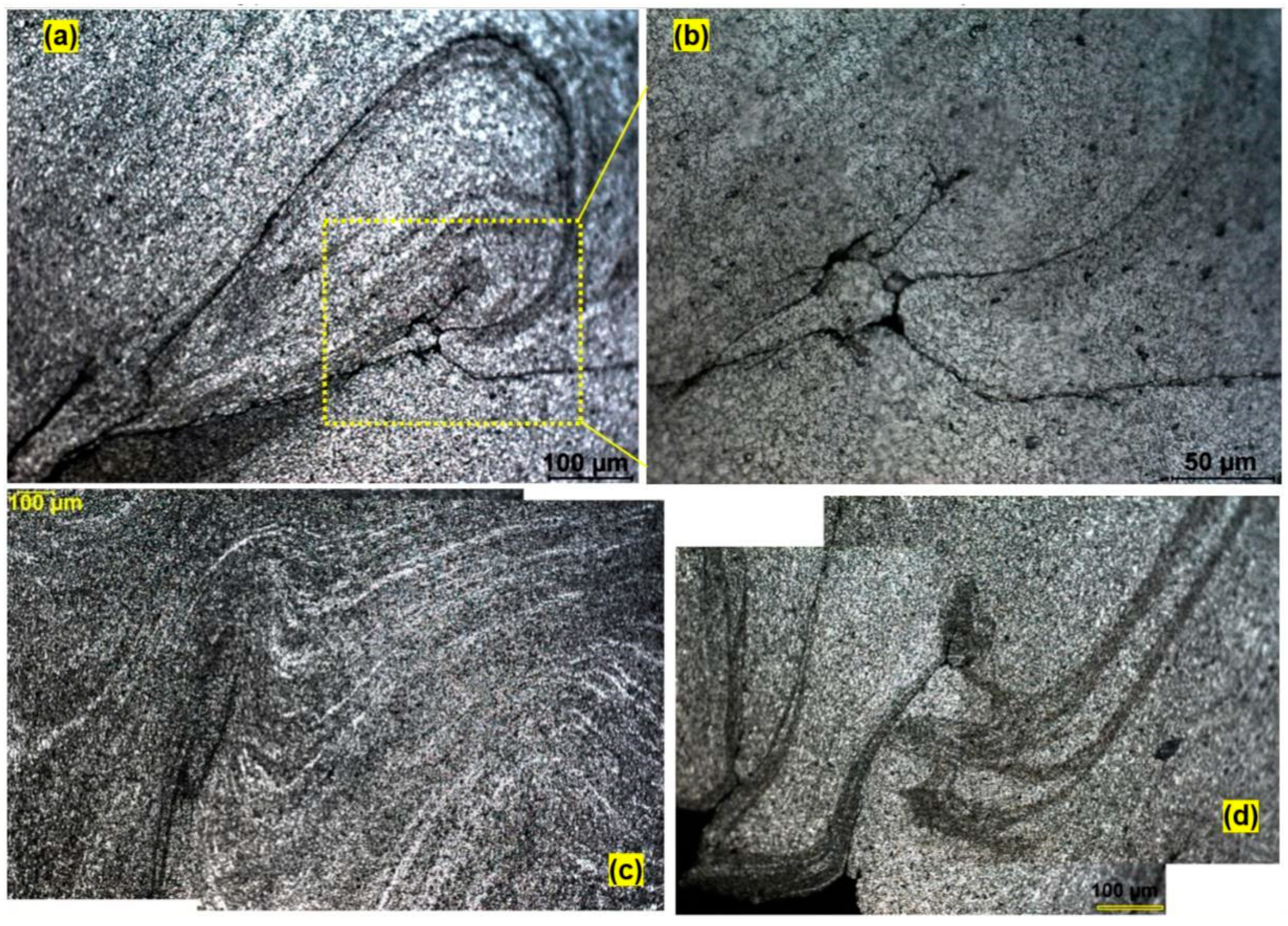 Metals 09 01059 g007