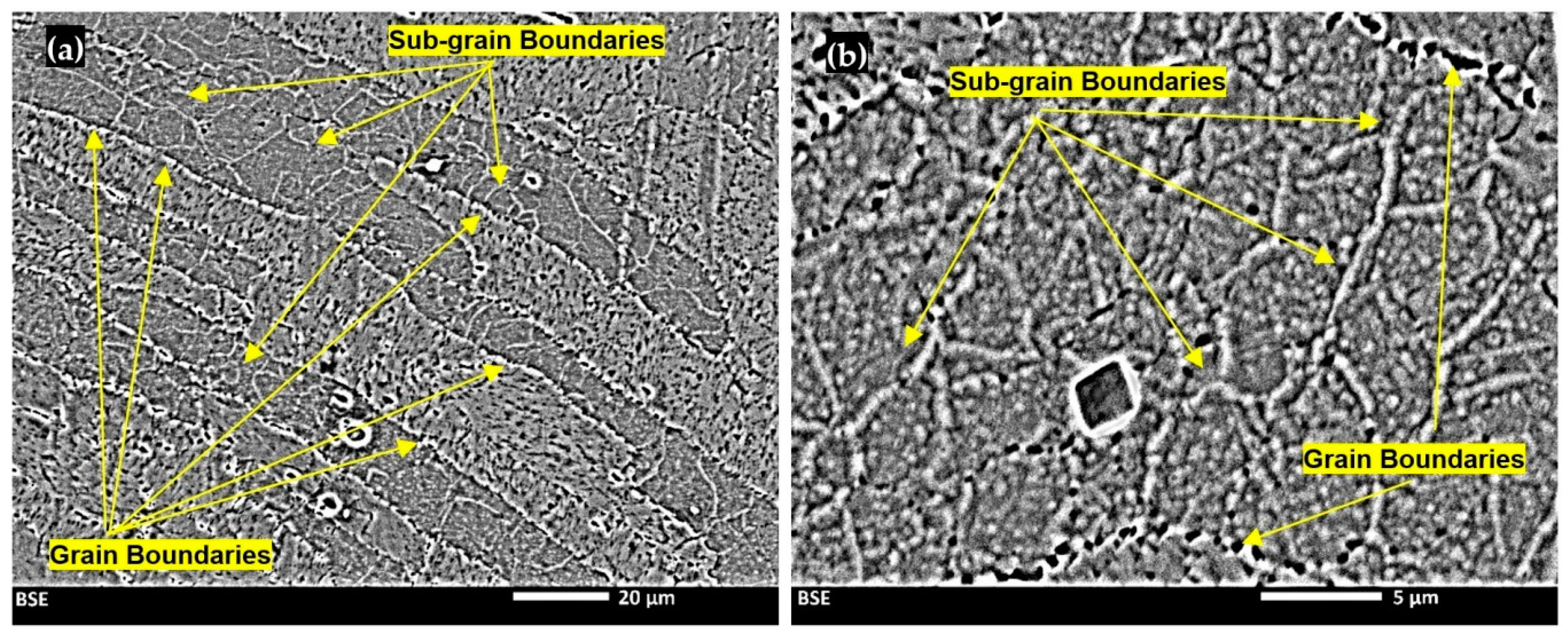 Metals 09 01059 g009