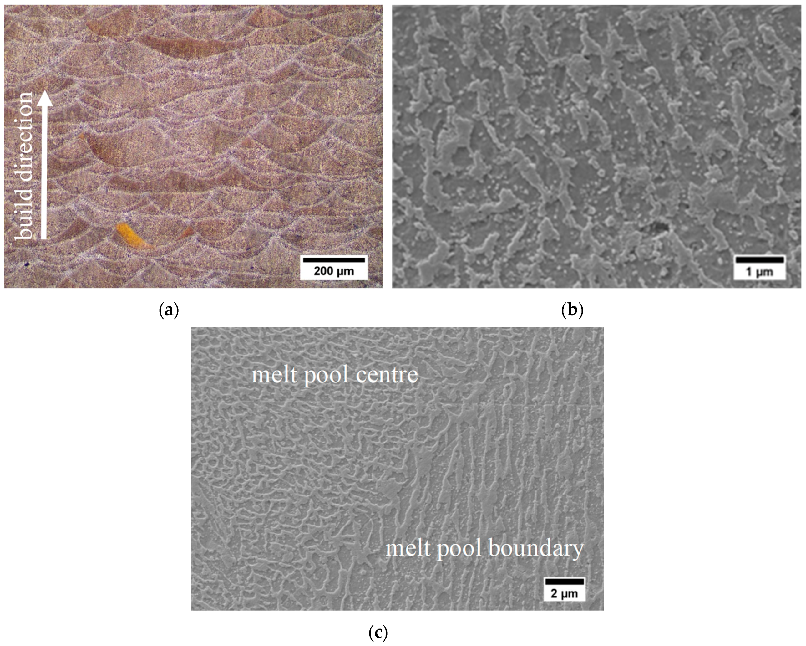 Metals 09 01063 g002