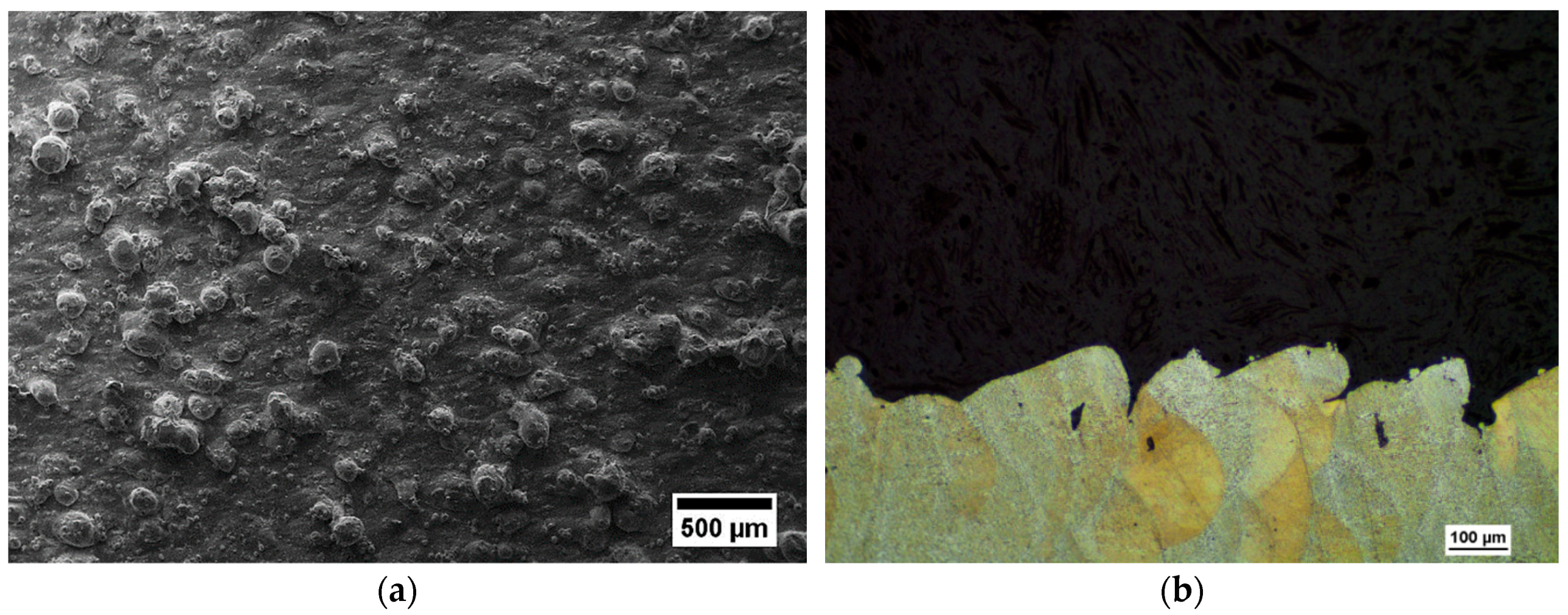 Metals 09 01063 g003