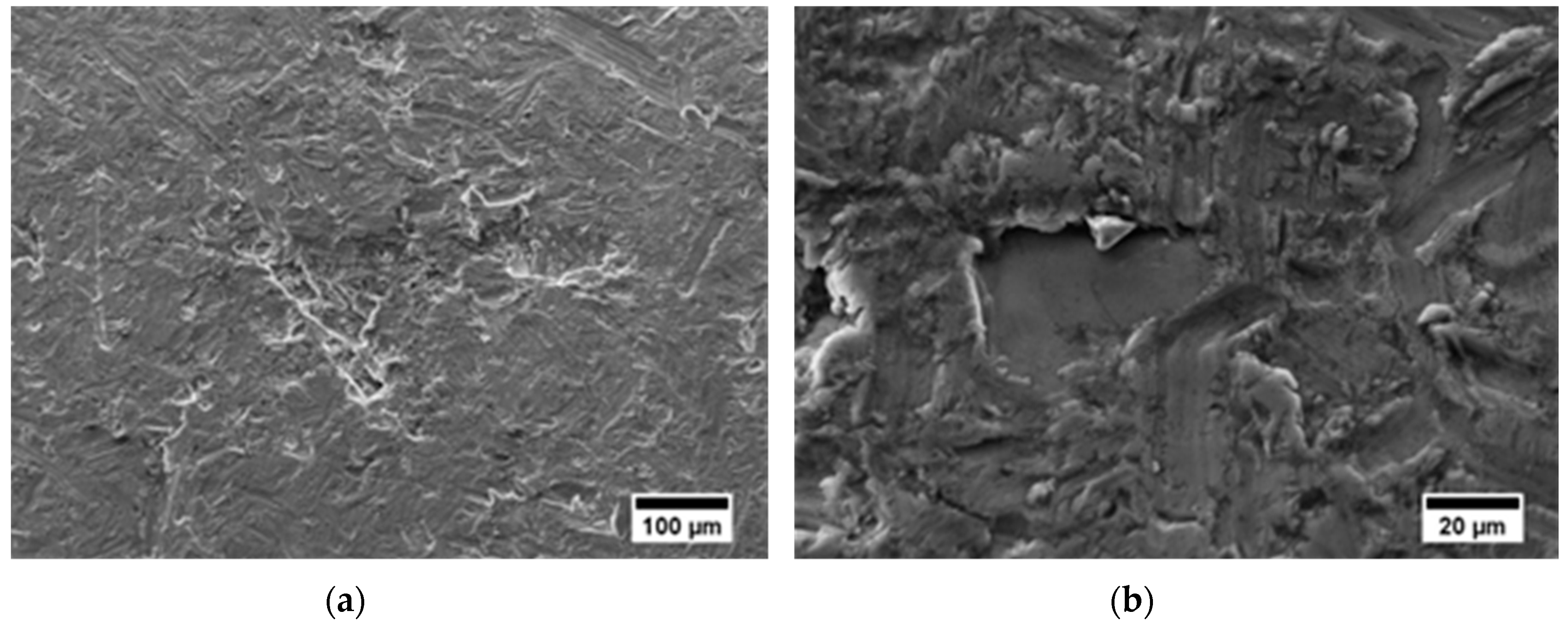 Metals 09 01063 g005a