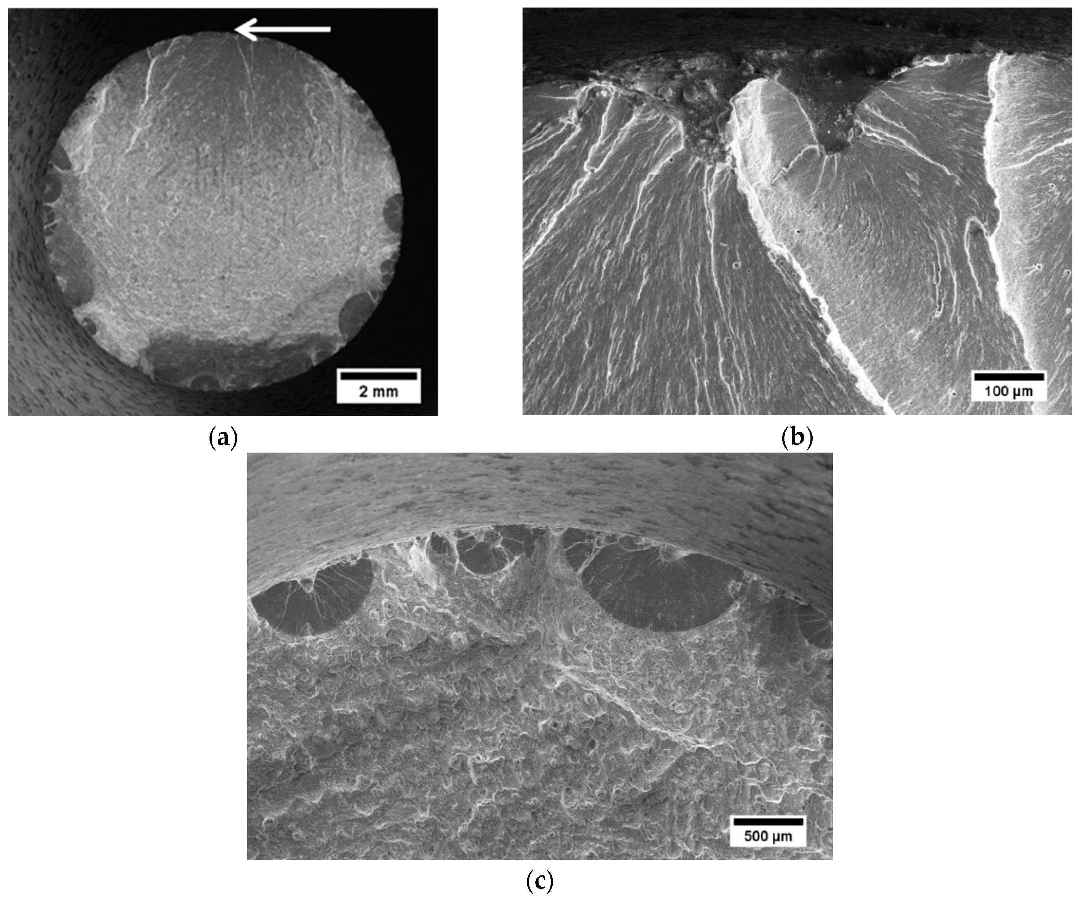 Metals 09 01063 g013