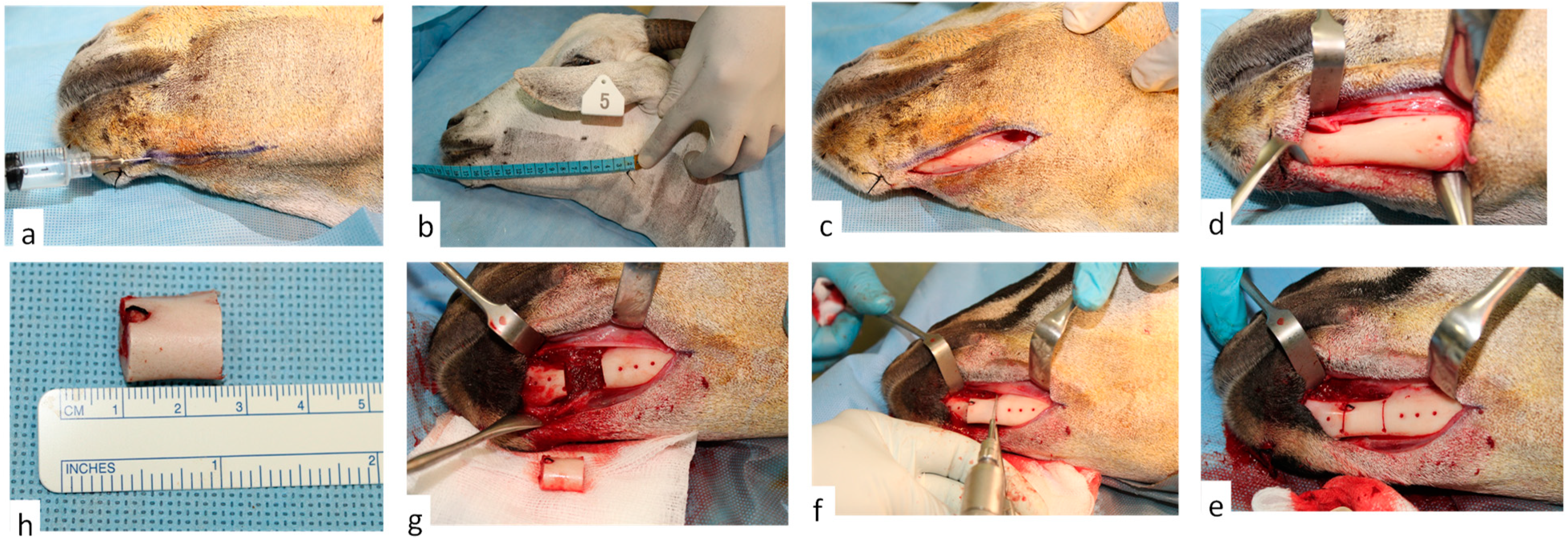 Metals 09 01065 g007