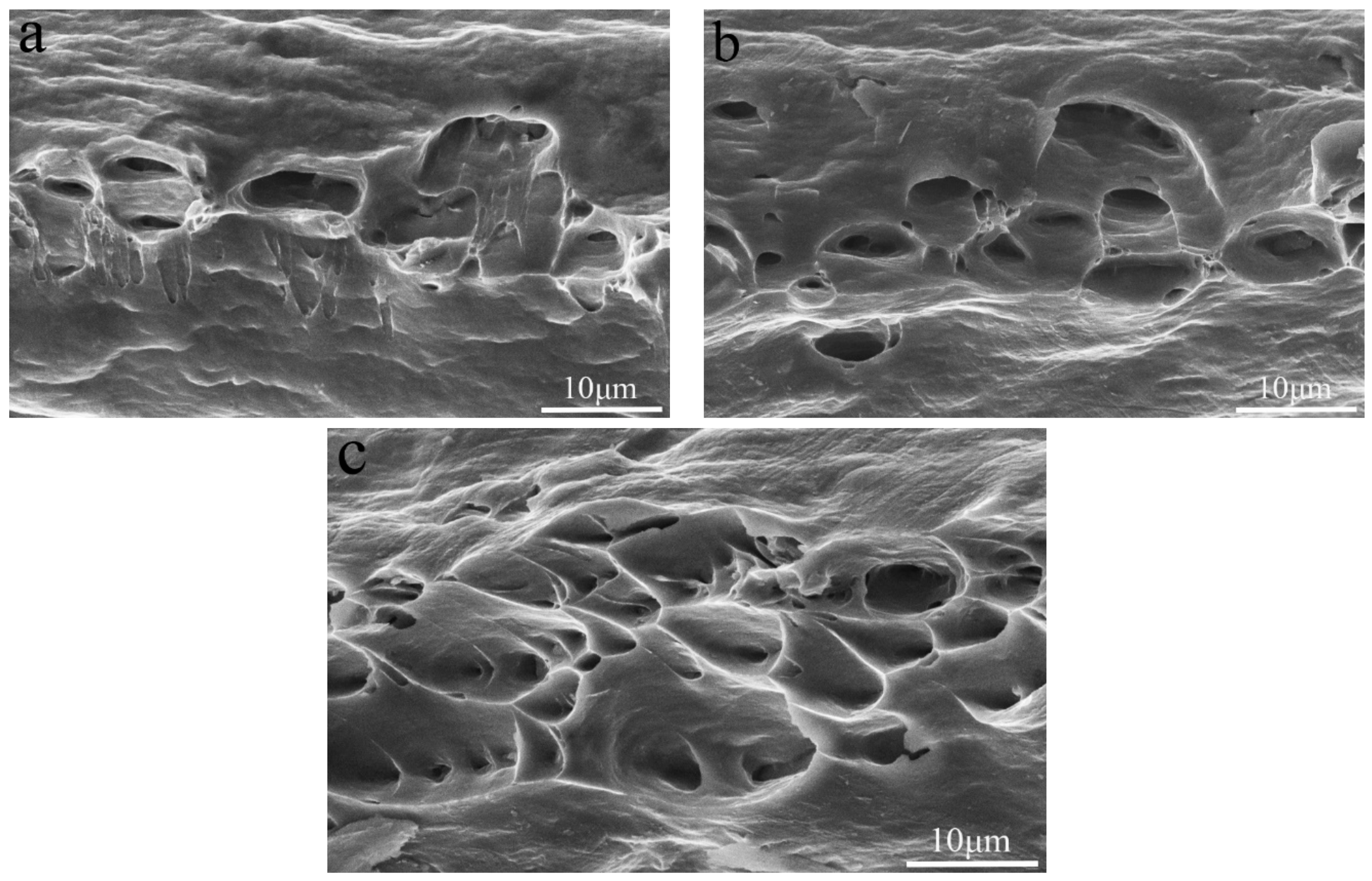 Metals 09 01072 g007