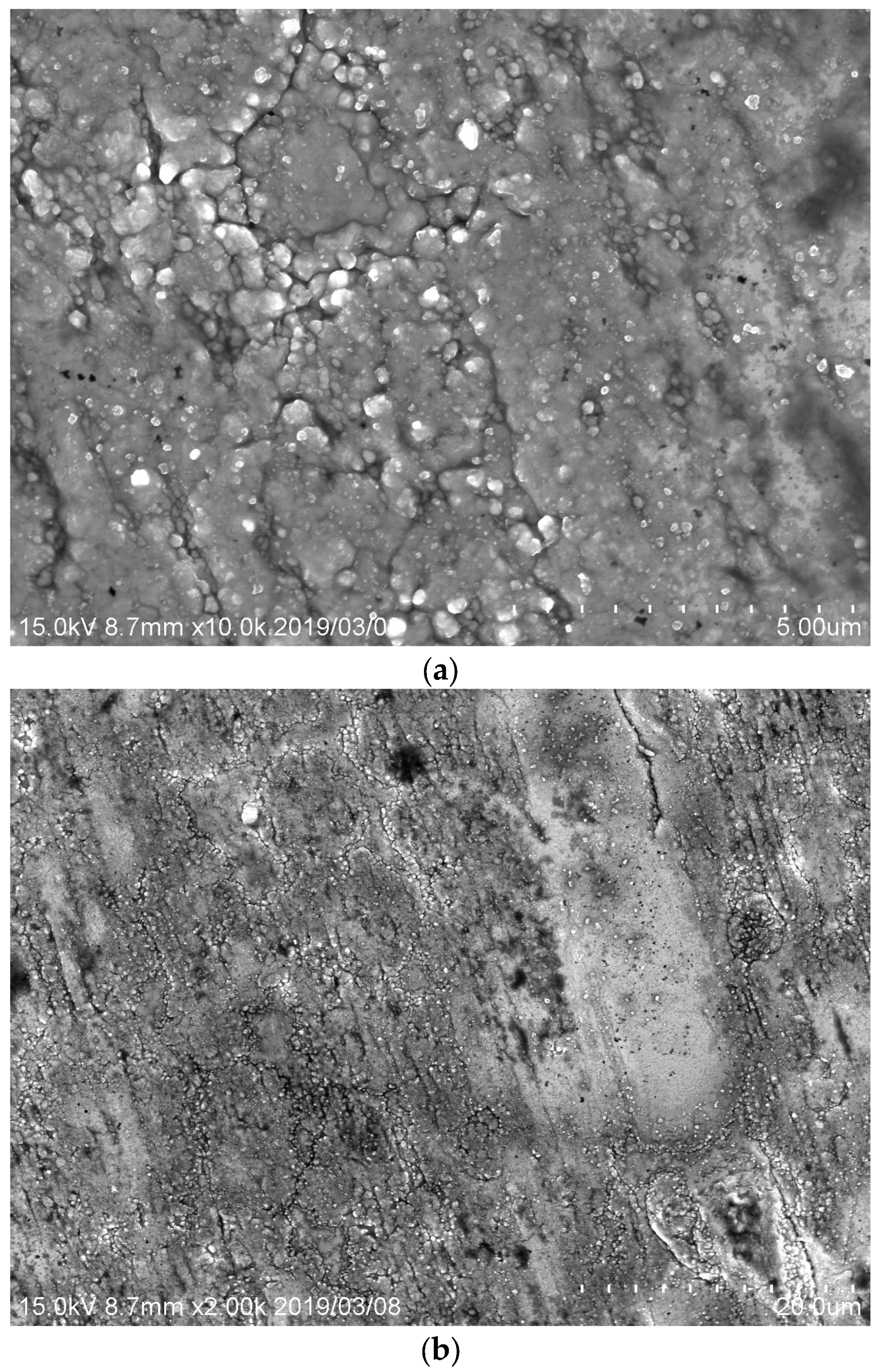 Metals 09 01076 g005