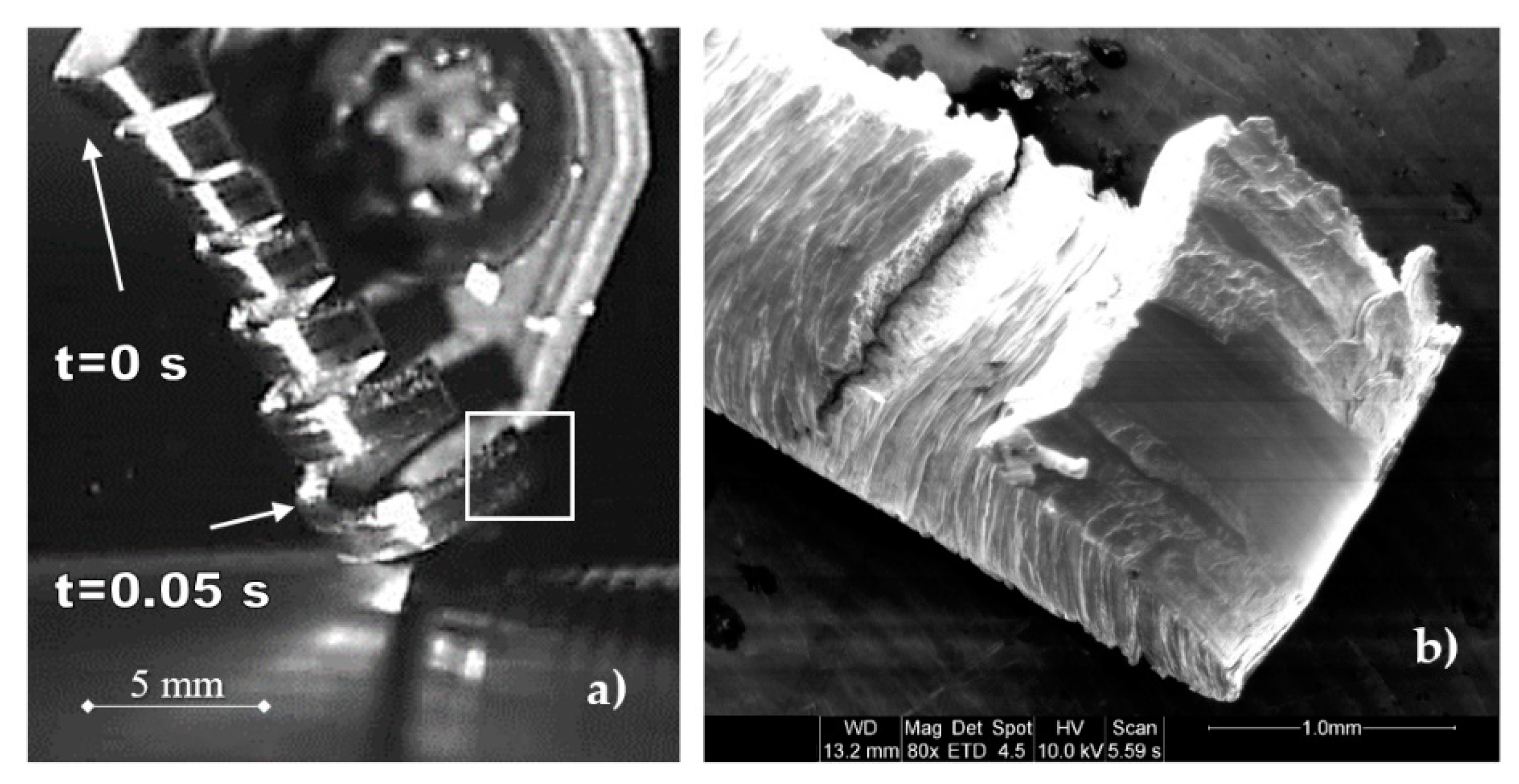 Metals 09 01094 g003