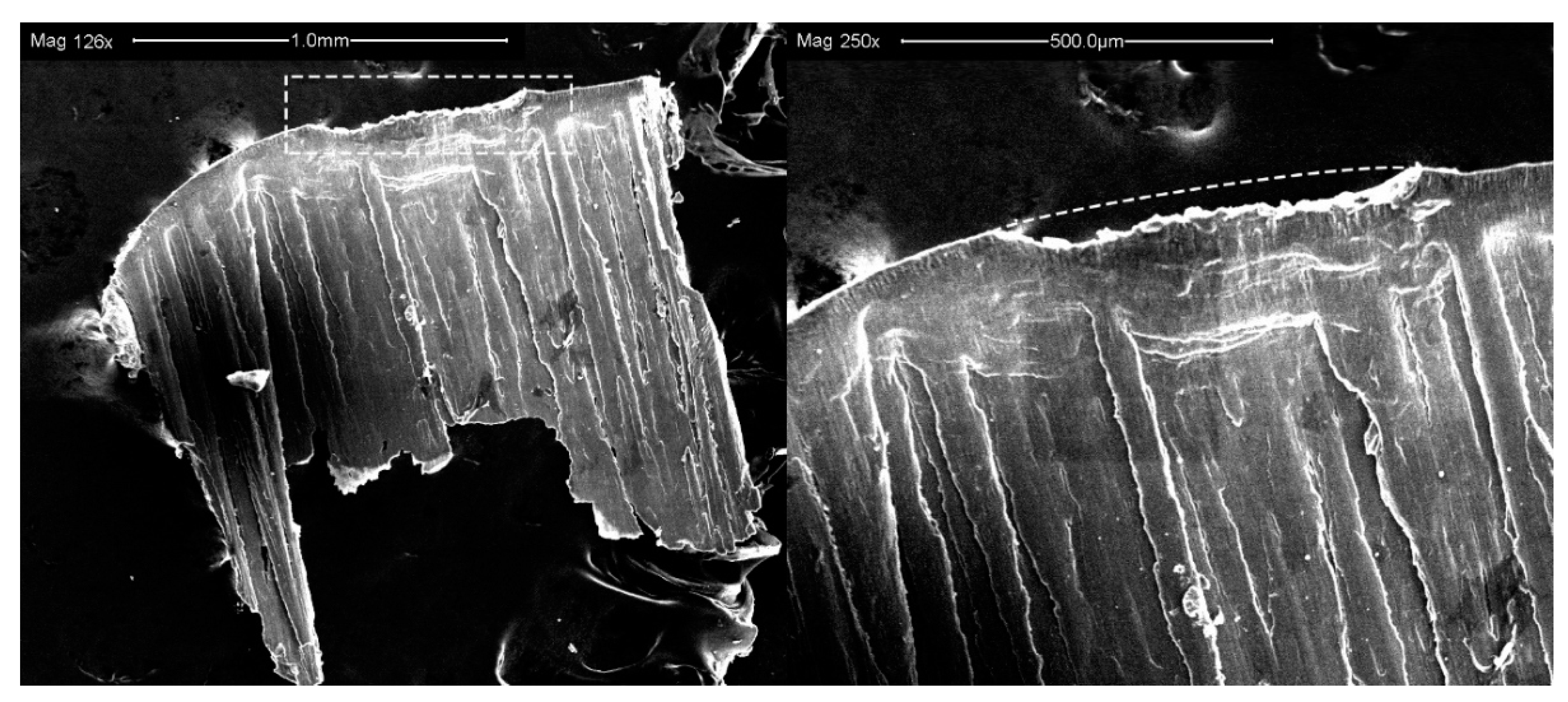 Metals 09 01094 g010