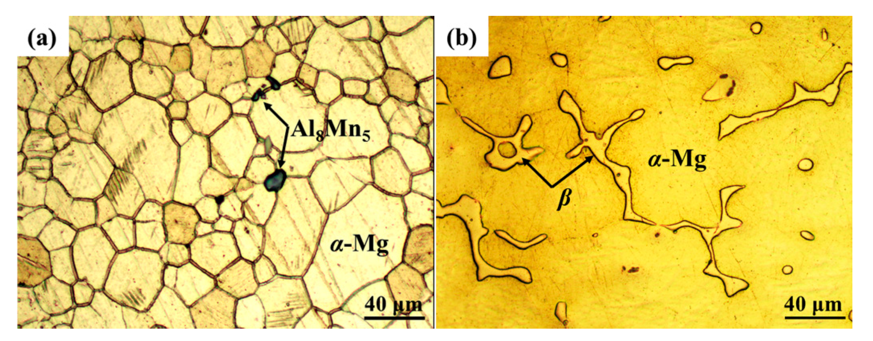 Metals 09 01100 g001