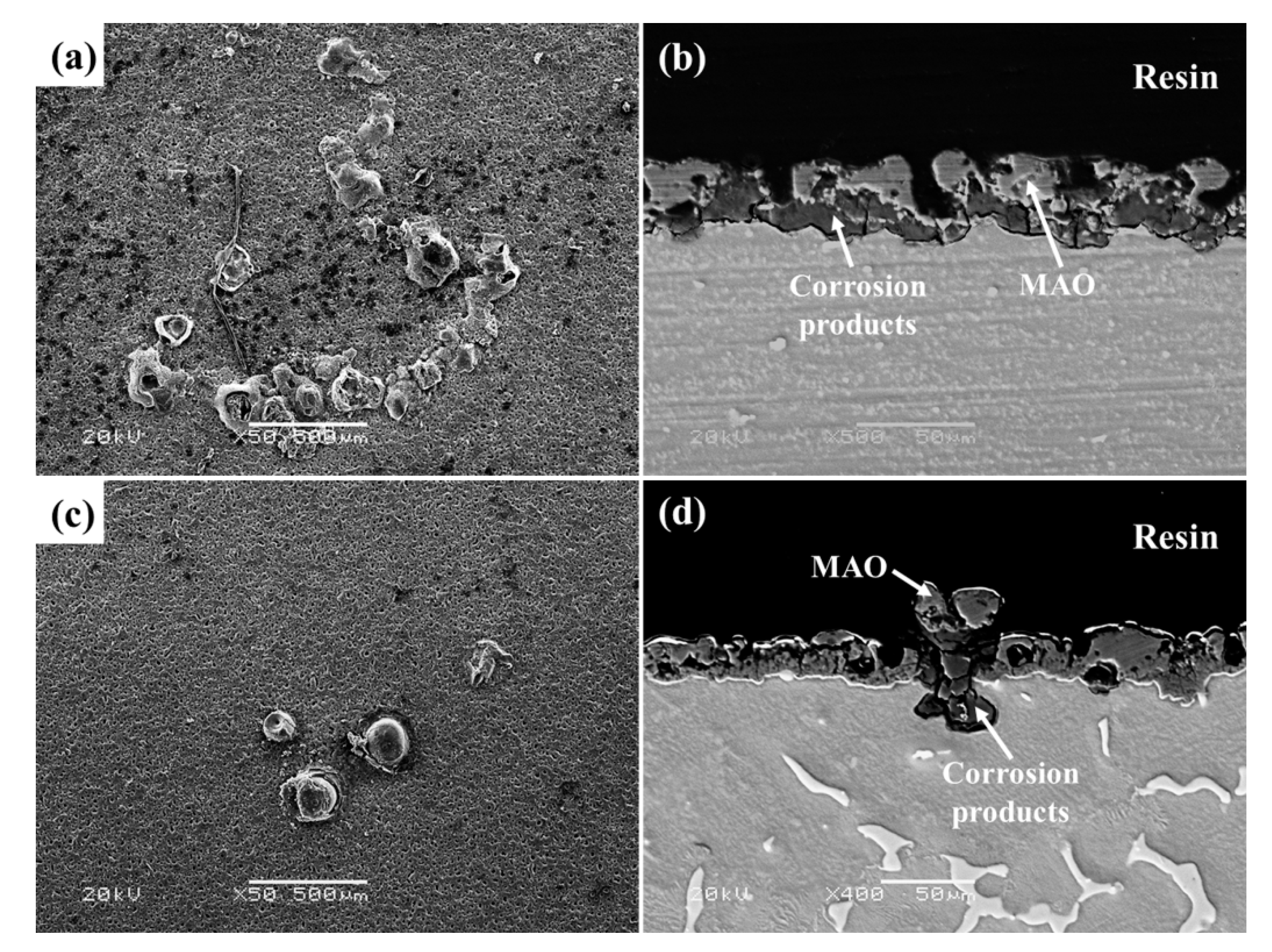 Metals 09 01100 g010