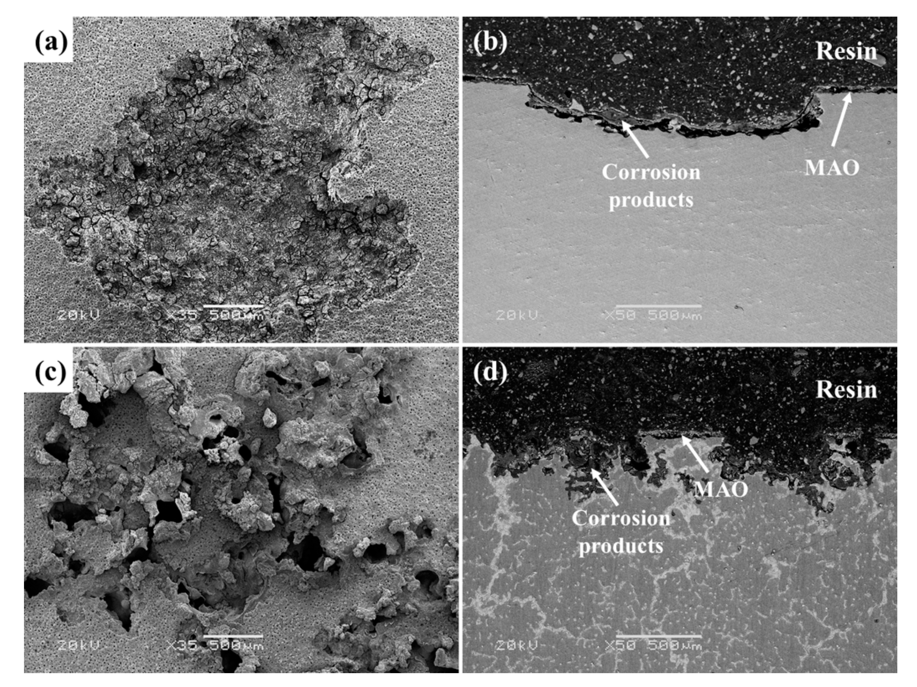 Metals 09 01100 g011