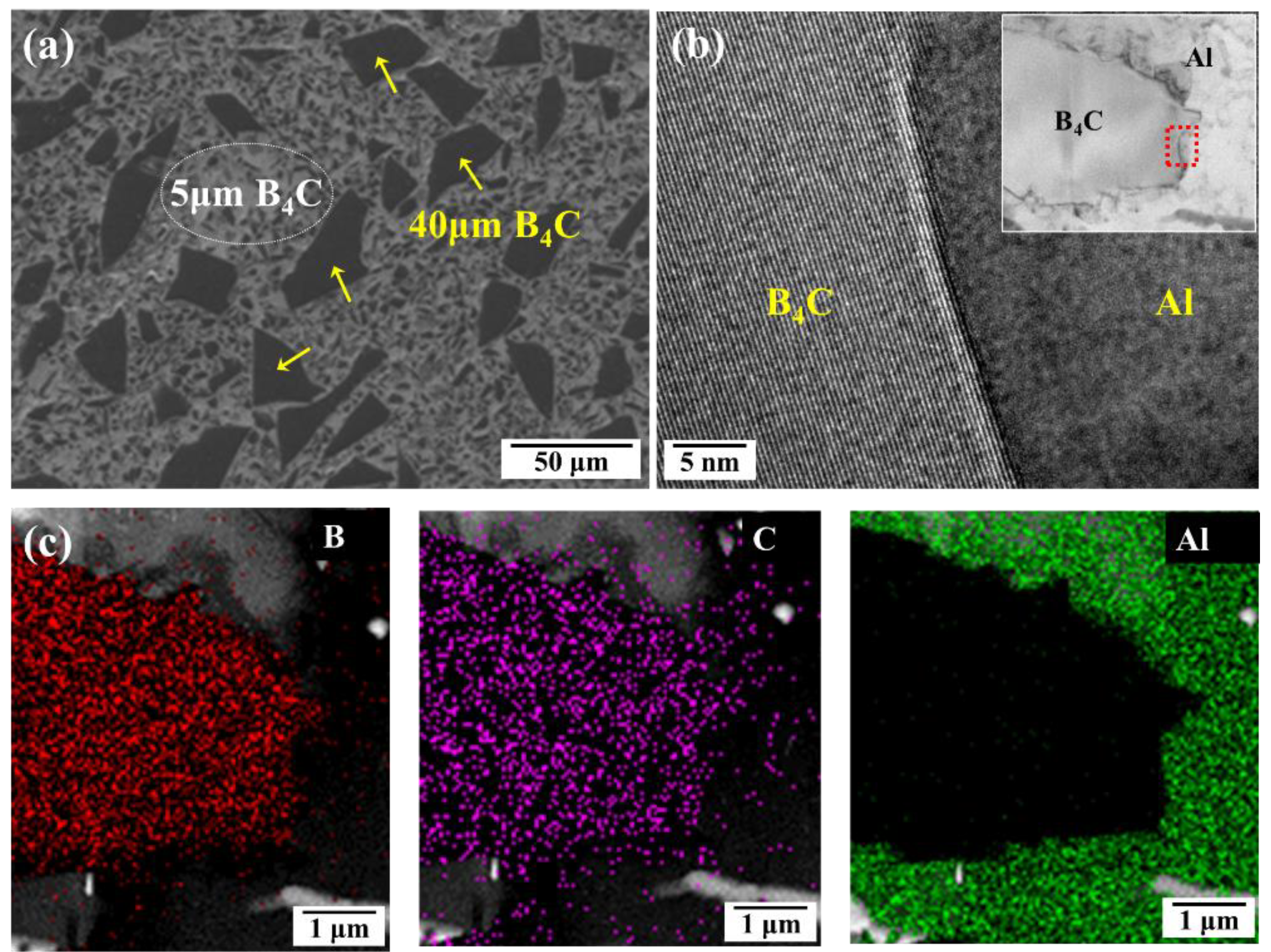 Metals 09 01108 g001