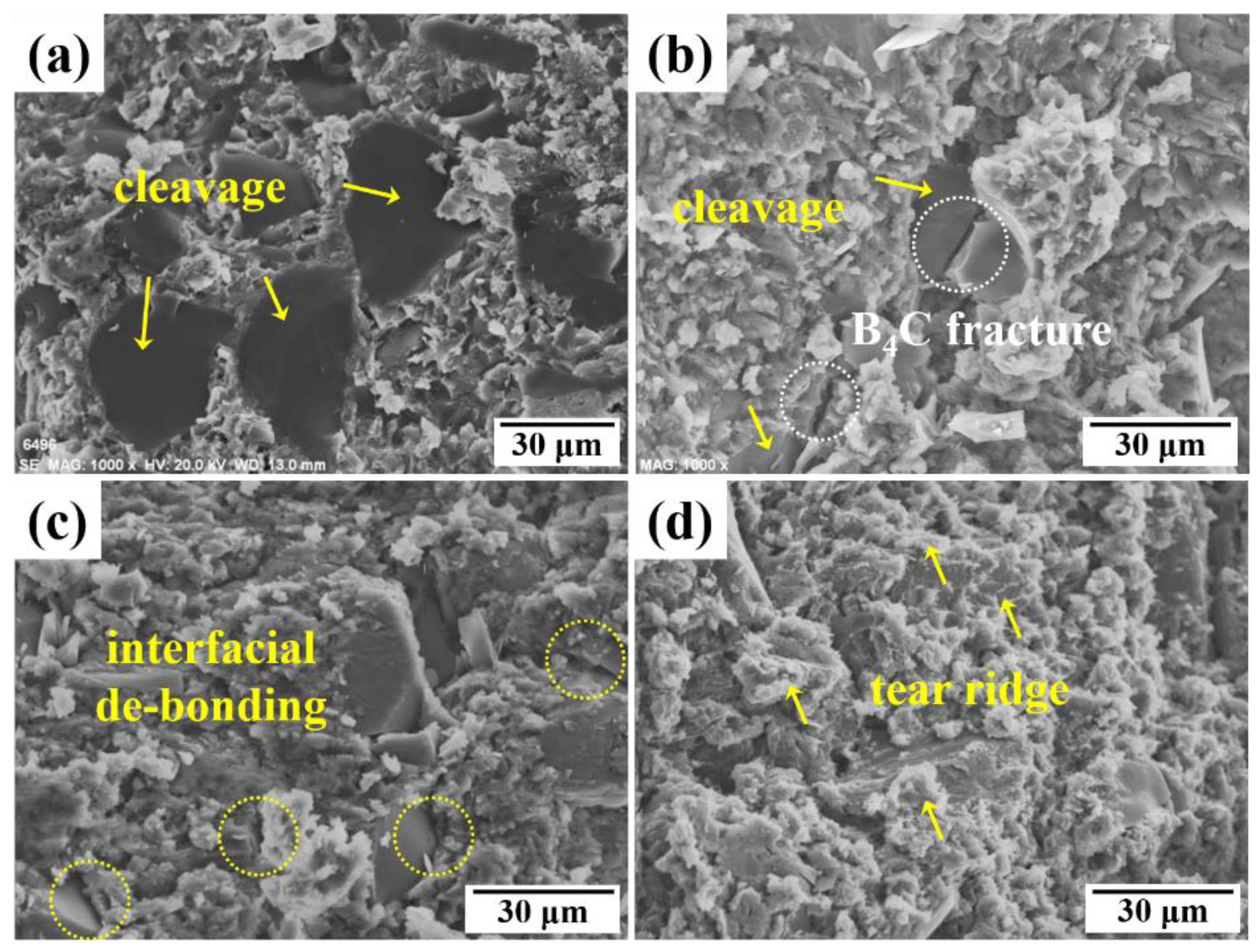 Metals 09 01108 g003