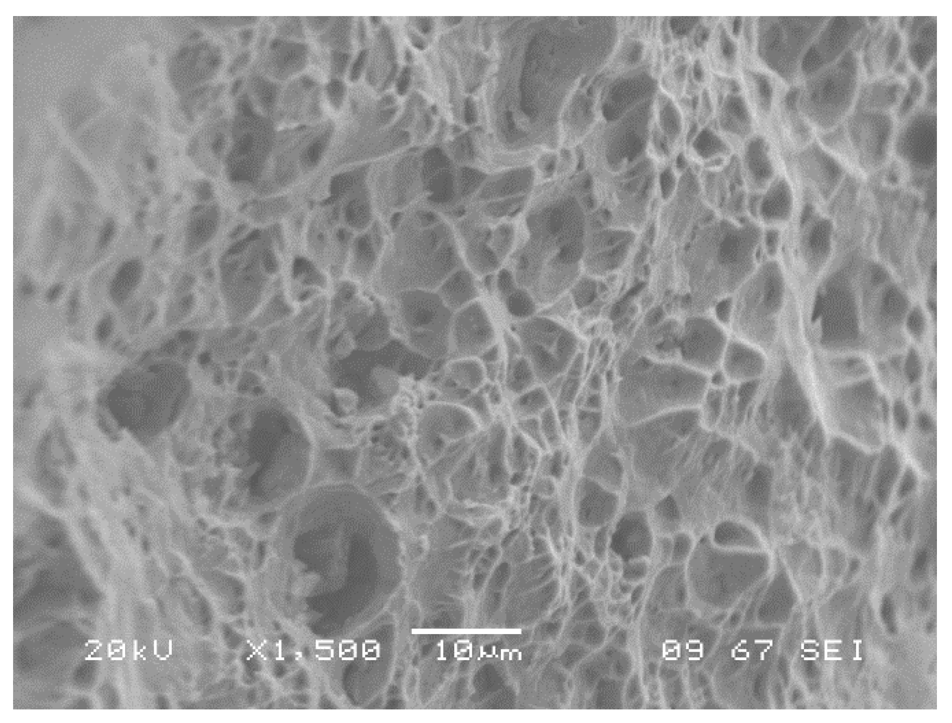 Metals 09 01109 g017a