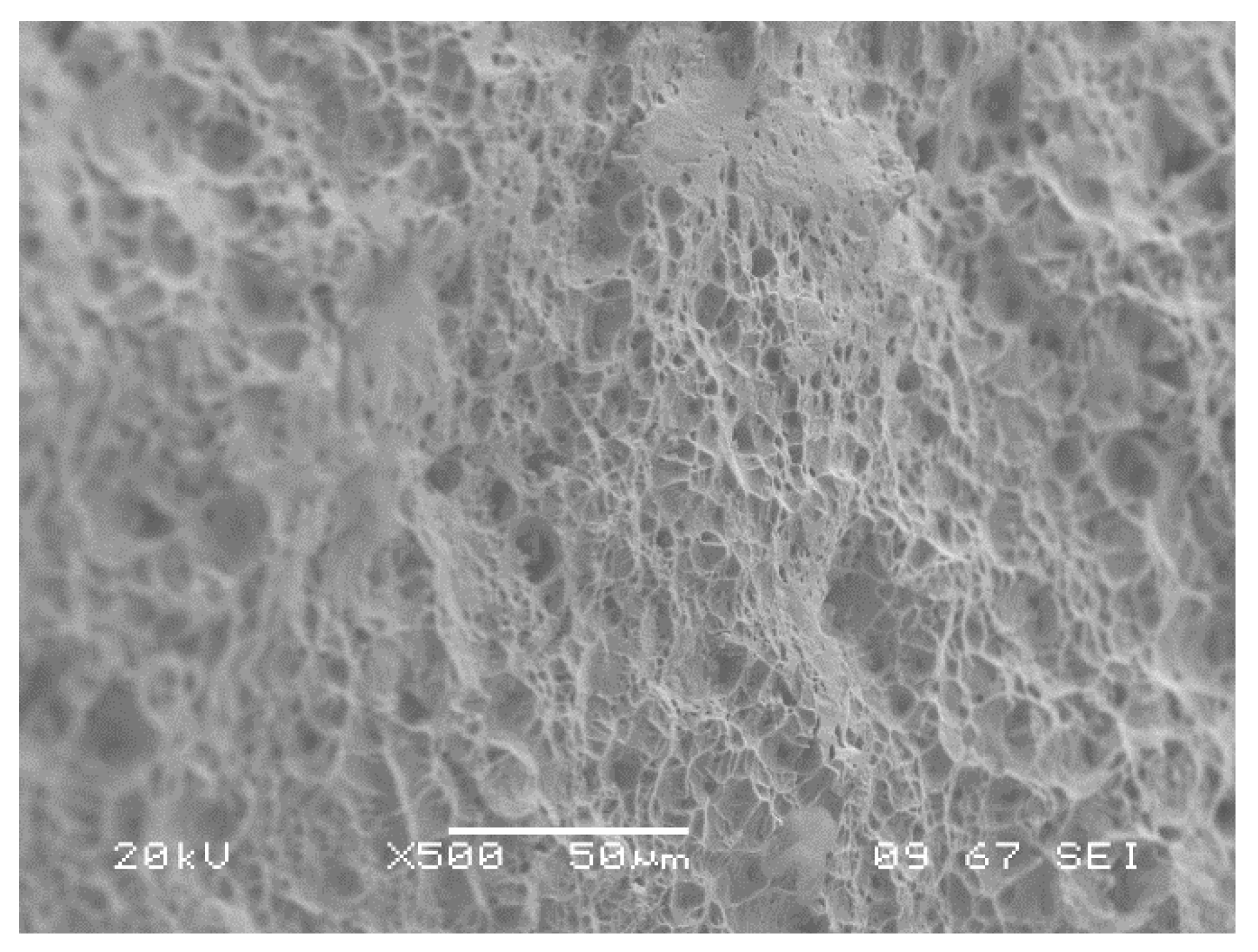 Metals 09 01109 g017b