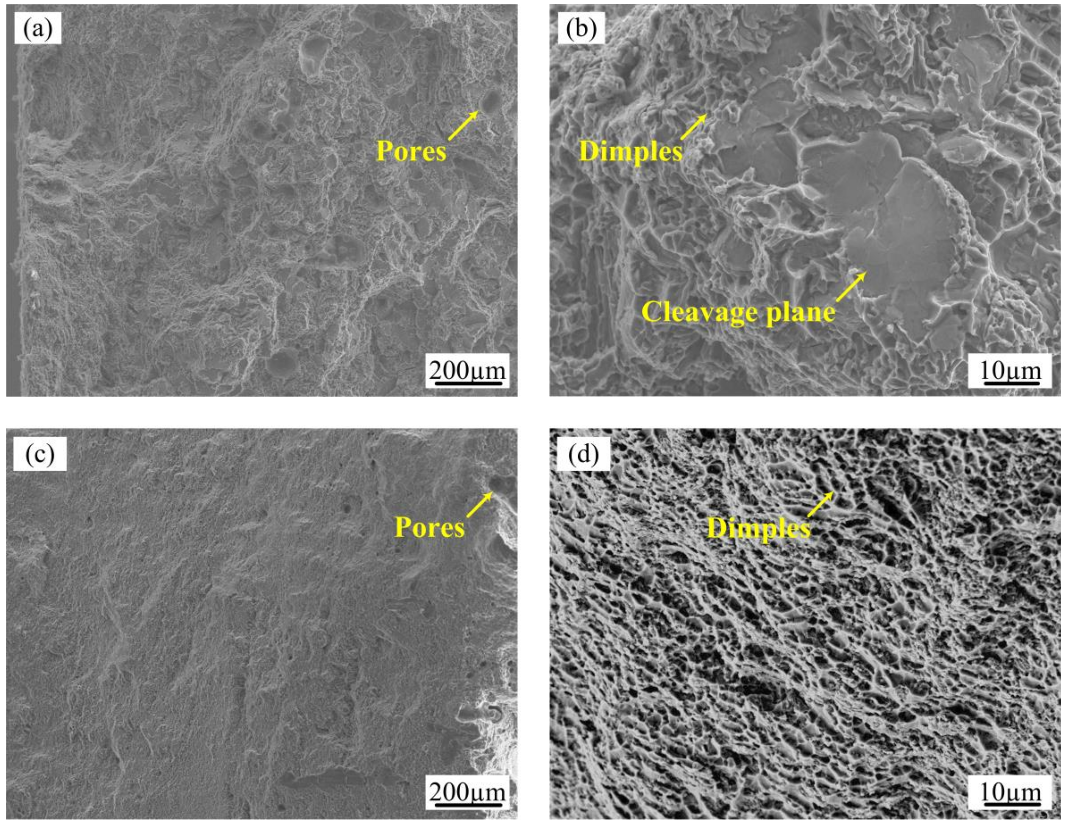 Metals 09 01111 g009