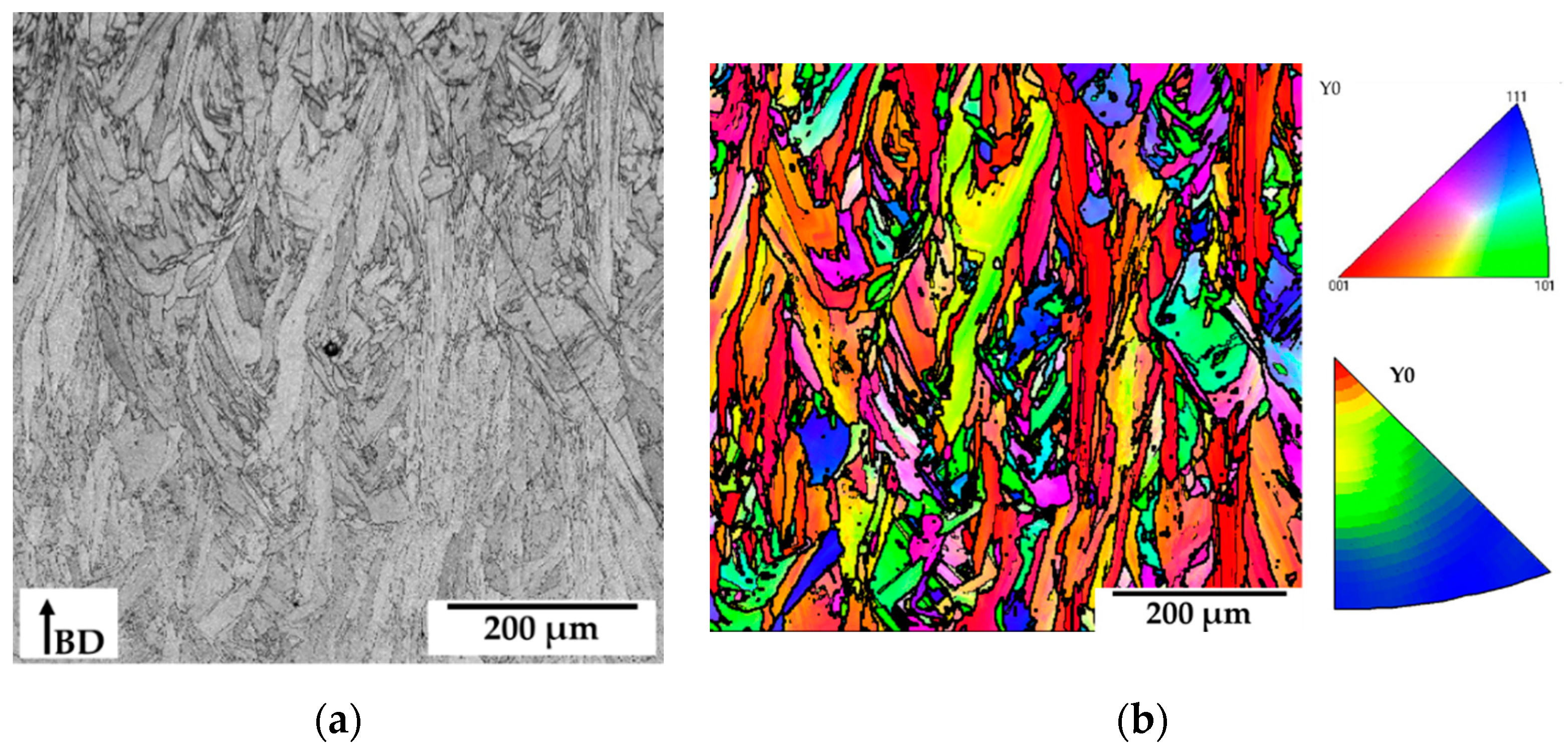 Metals 09 01113 g002
