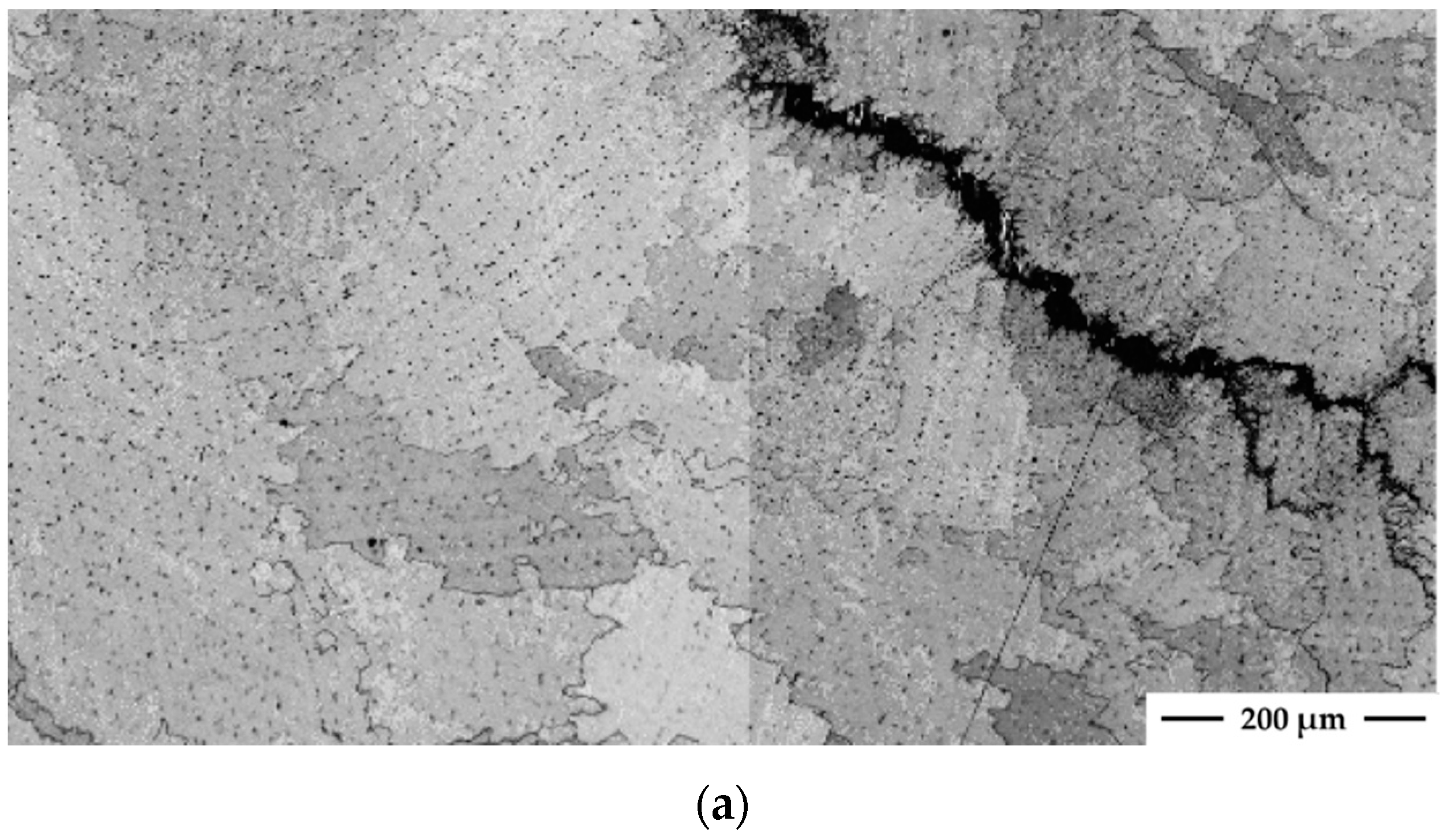 Metals 09 01113 g004a