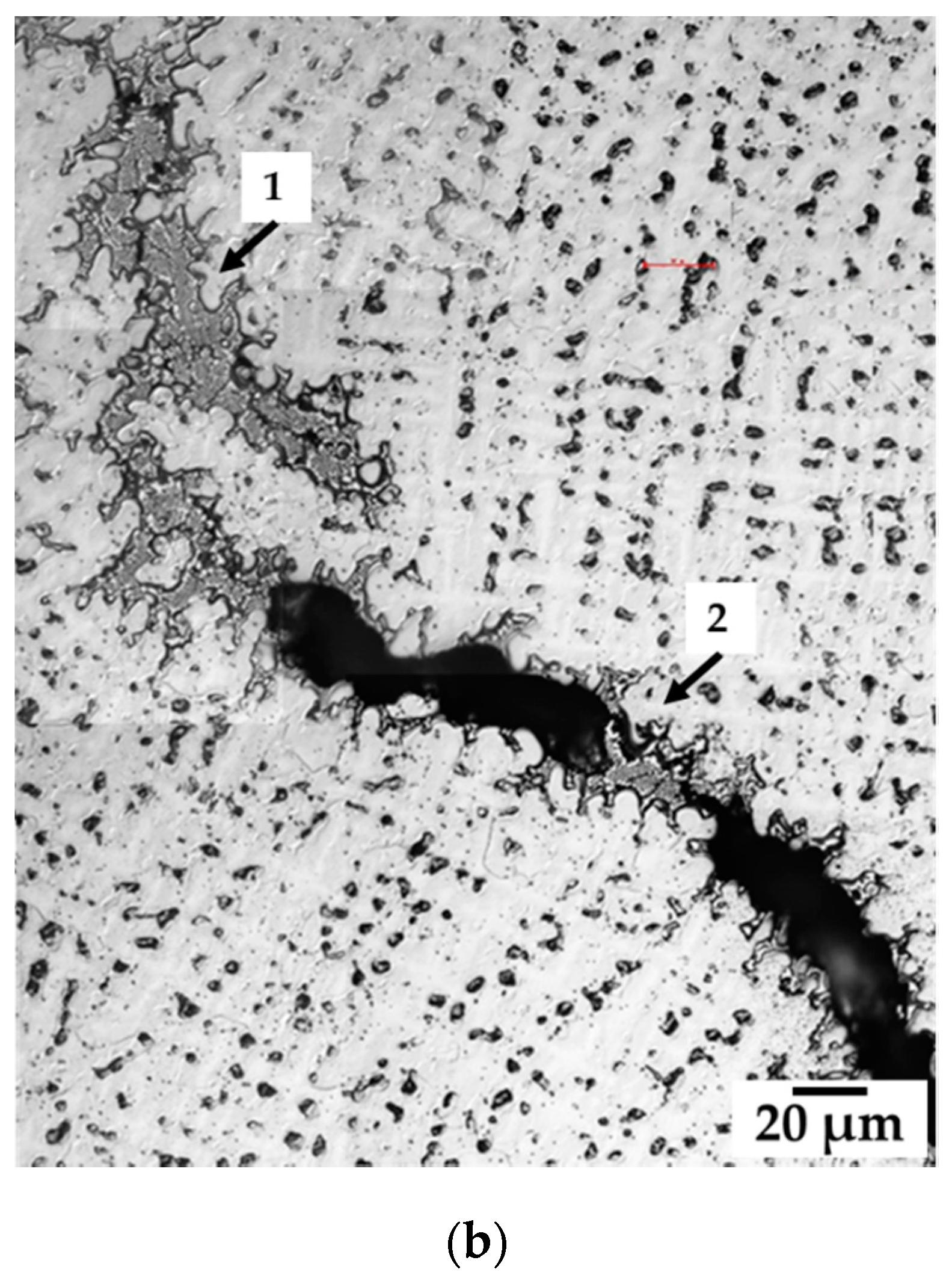 Metals 09 01113 g004b