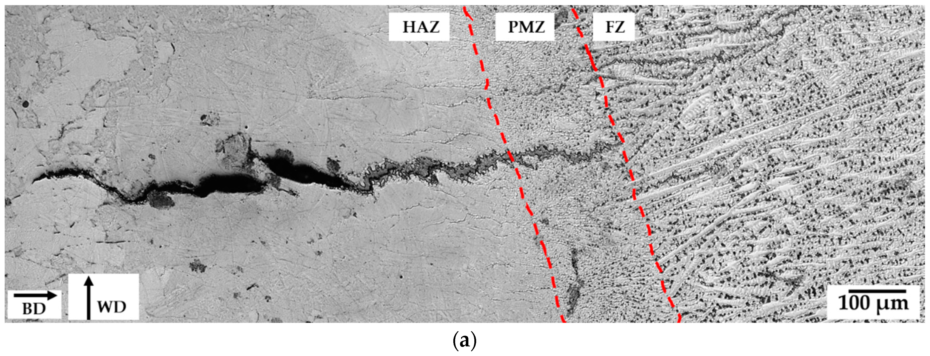 Metals 09 01113 g005a