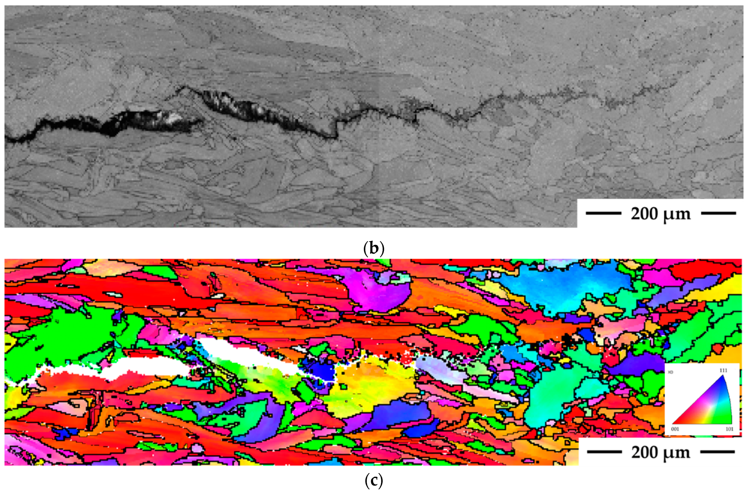 Metals 09 01113 g005b