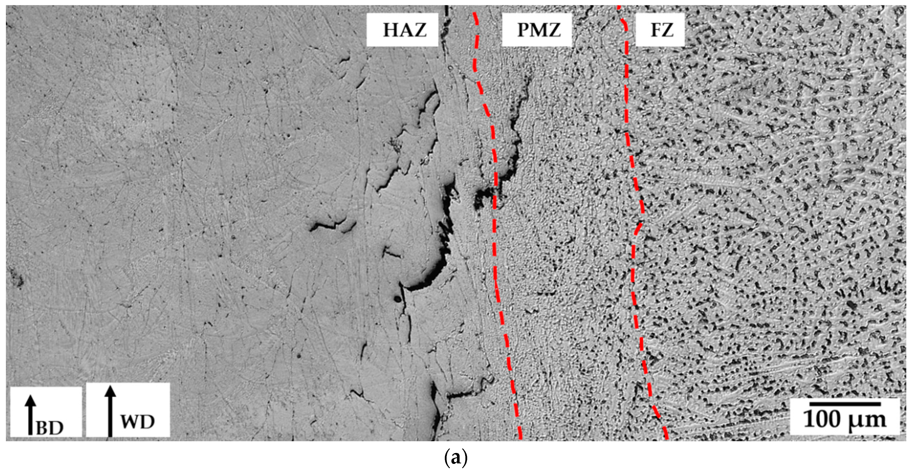 Metals 09 01113 g006a