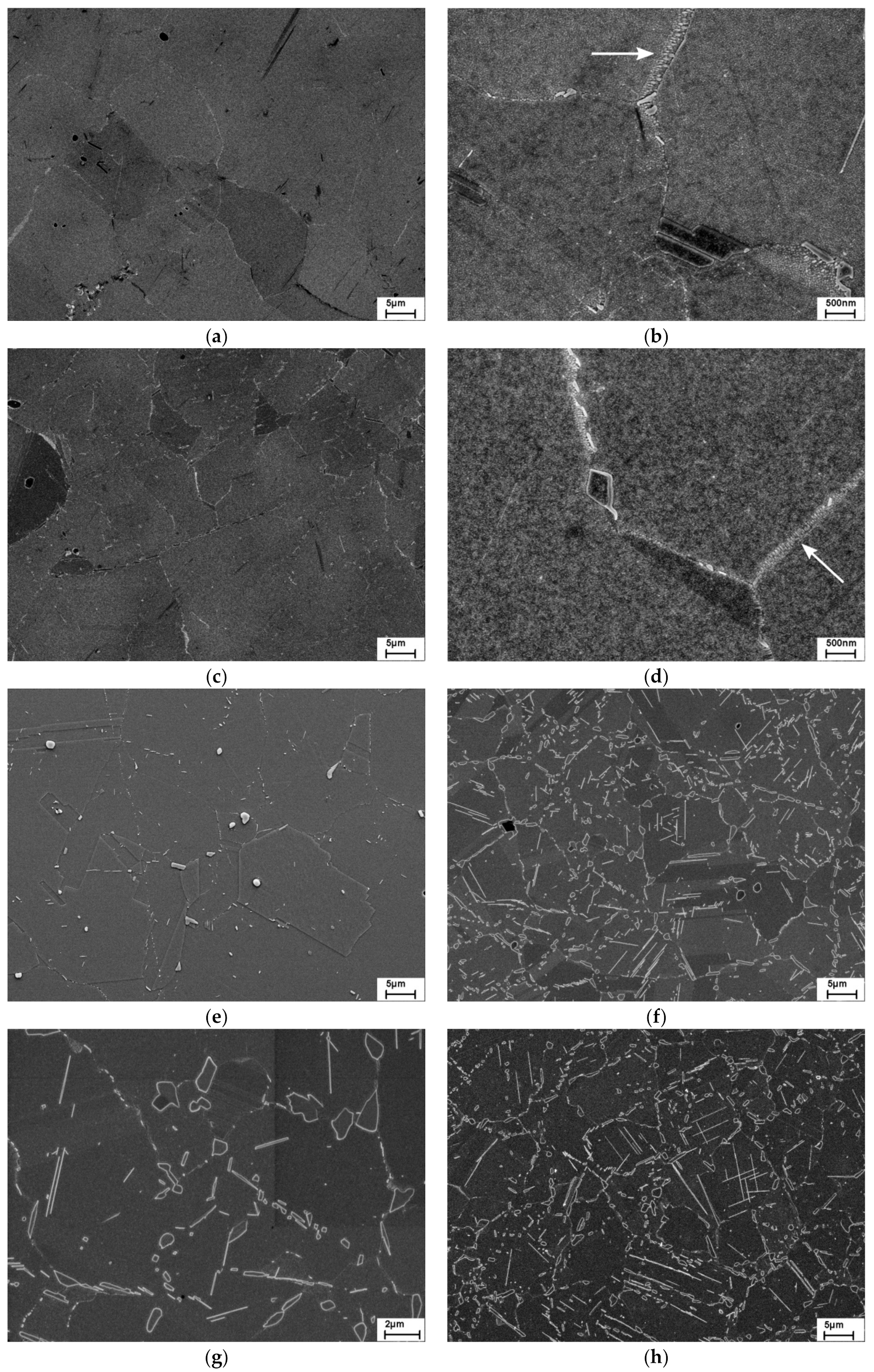 Metals 09 01130 g002a Metals 09 01130 g002a