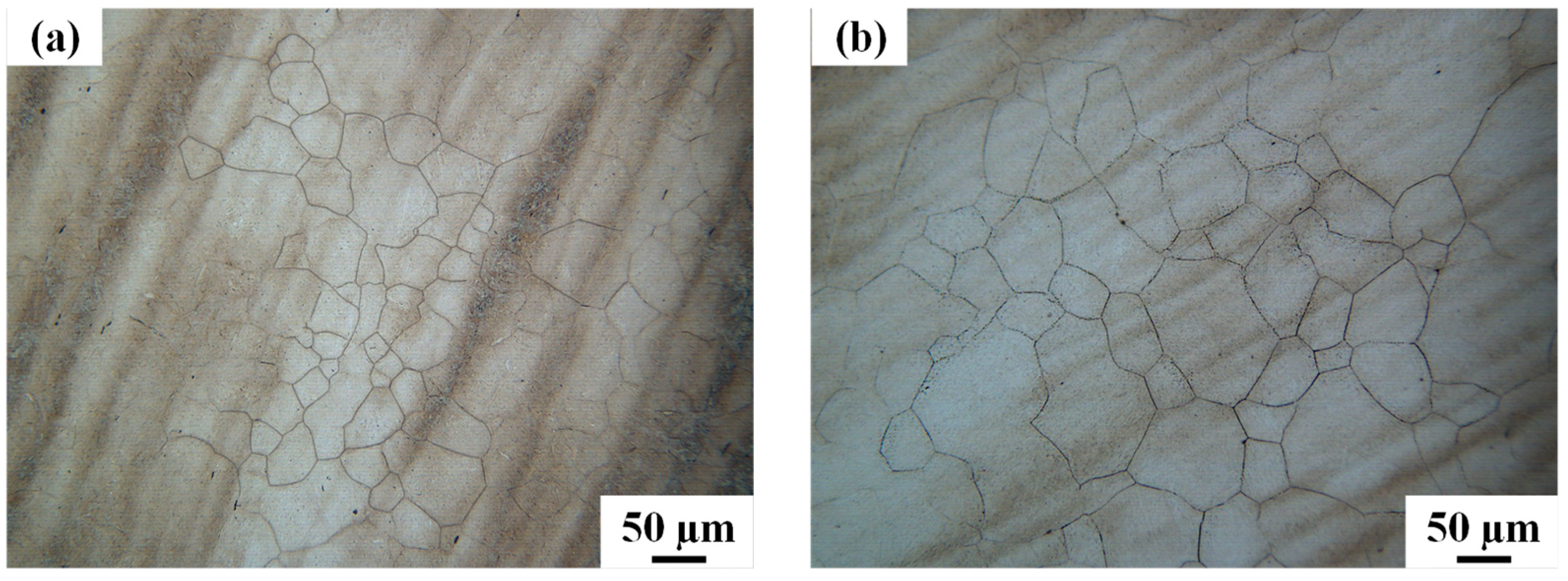 Metals 09 01133 g002a