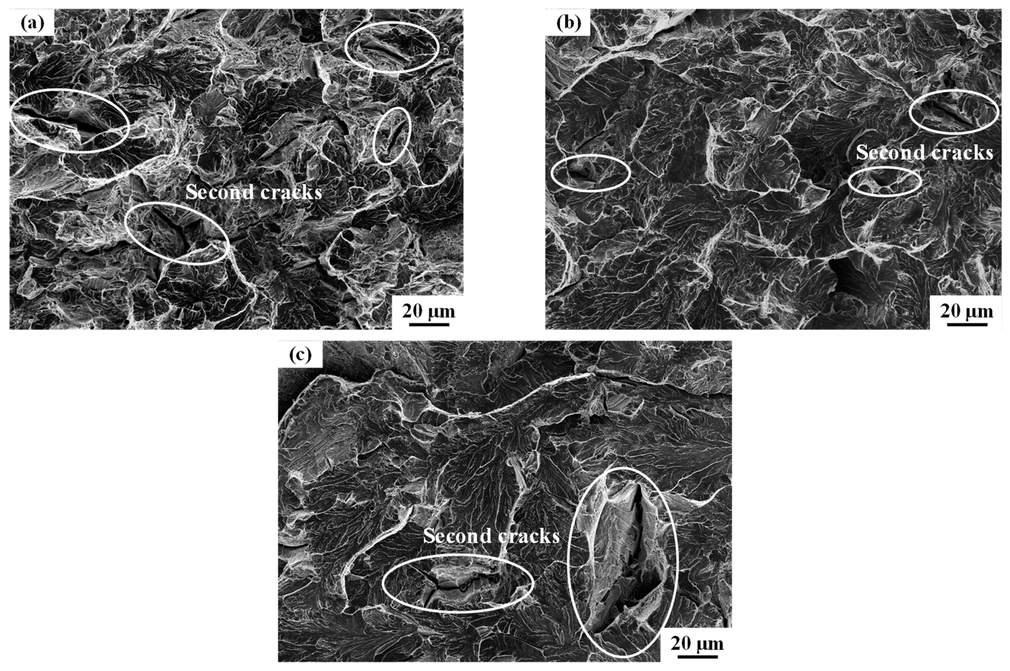Metals 09 01133 g006