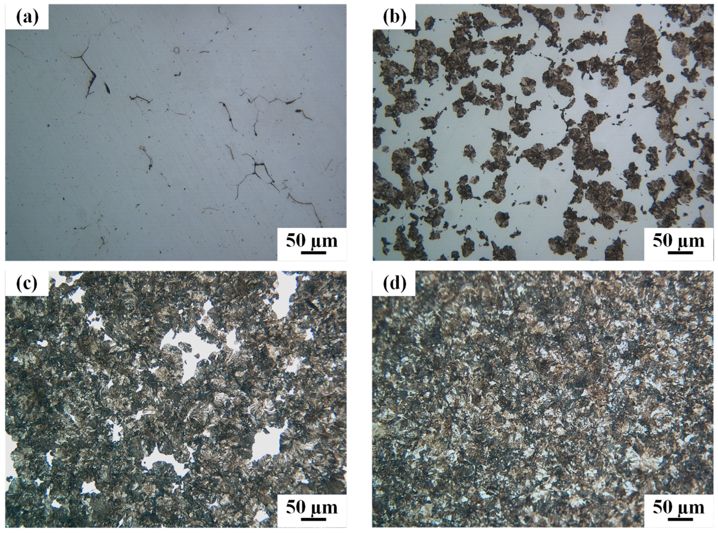 Metals 09 01133 g008