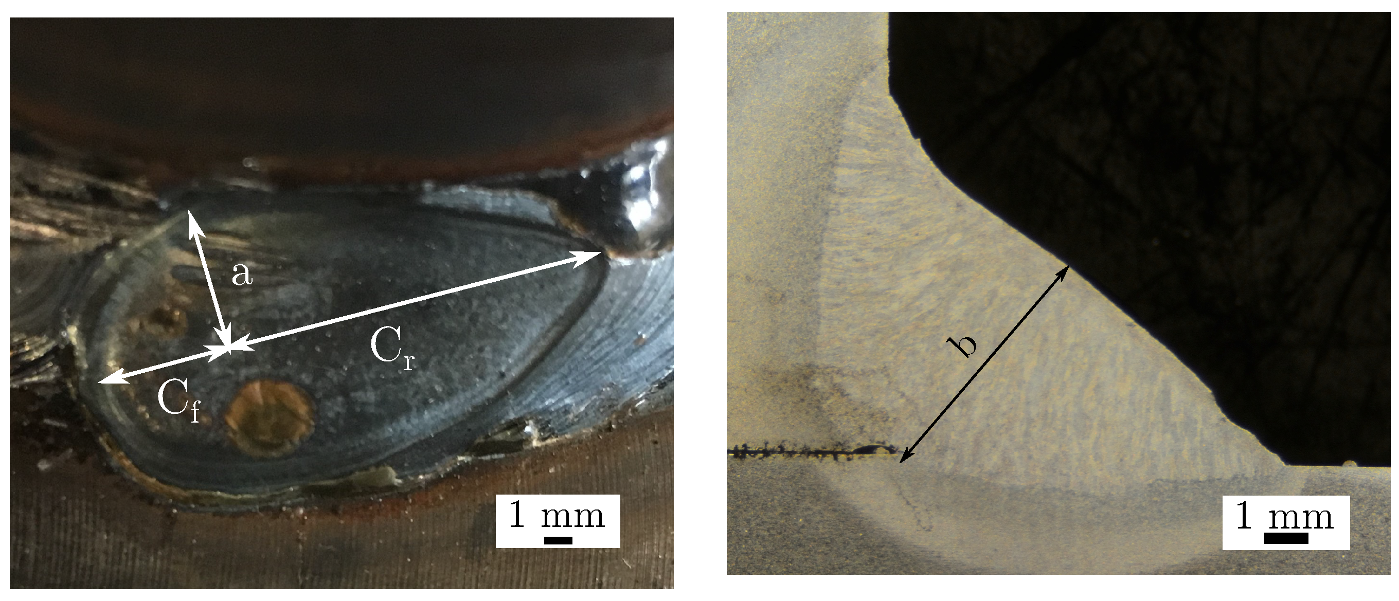 Metals 09 01142 g006 Metals 09 01142 g006