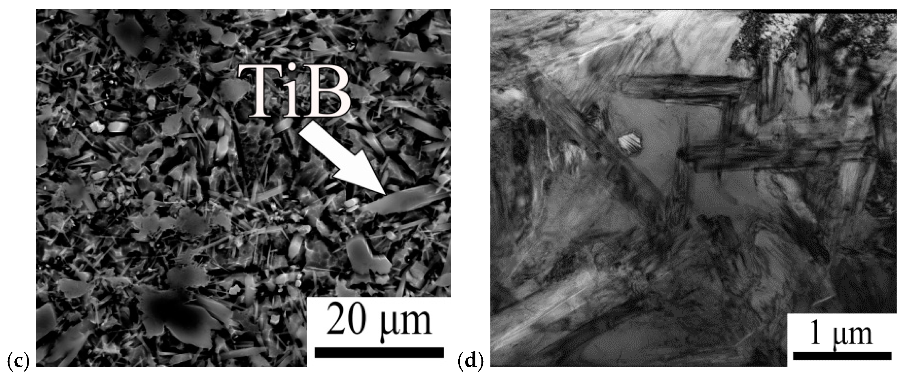 Metals 09 01175 g002b