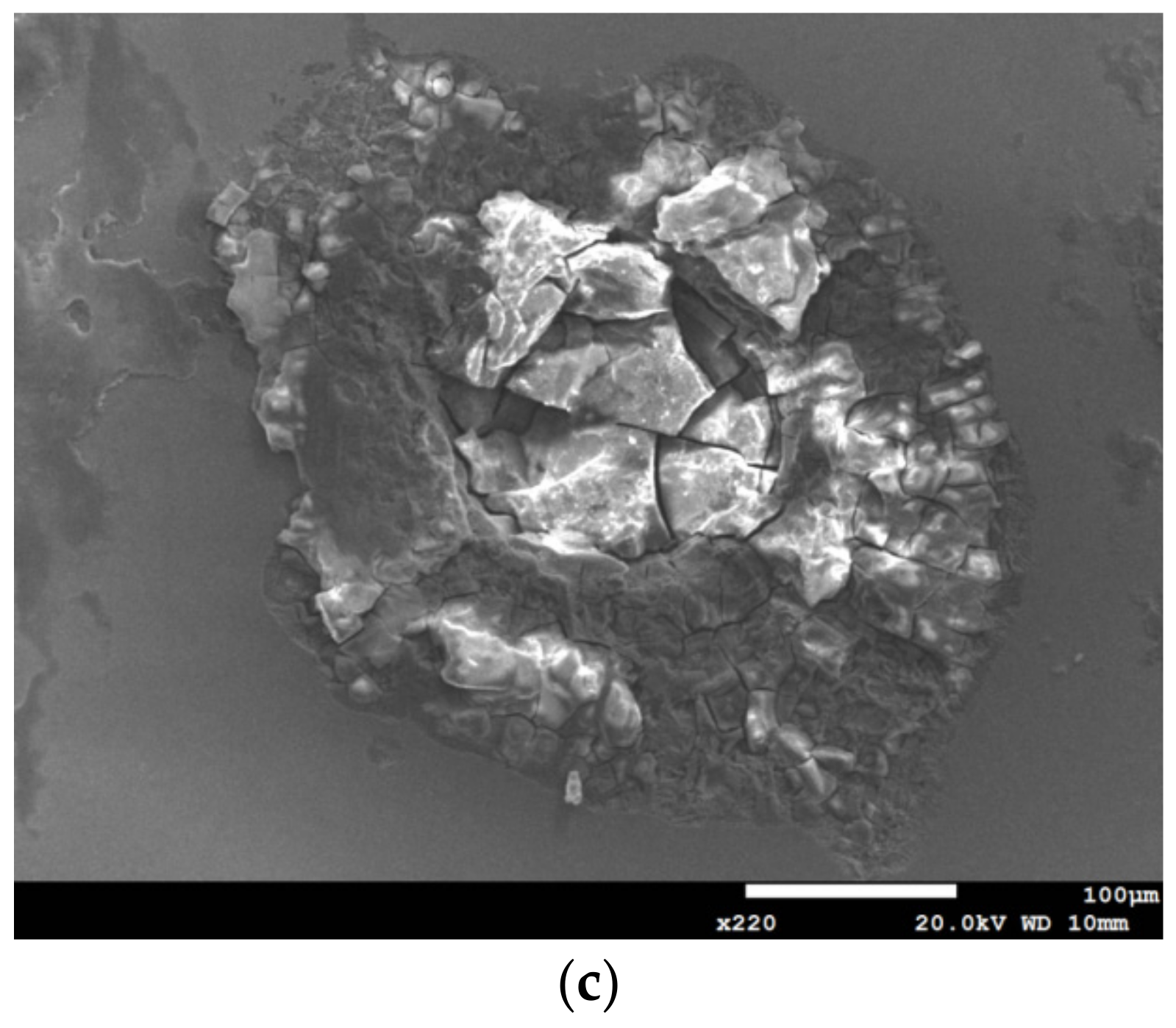 Metals 09 01185 g005b