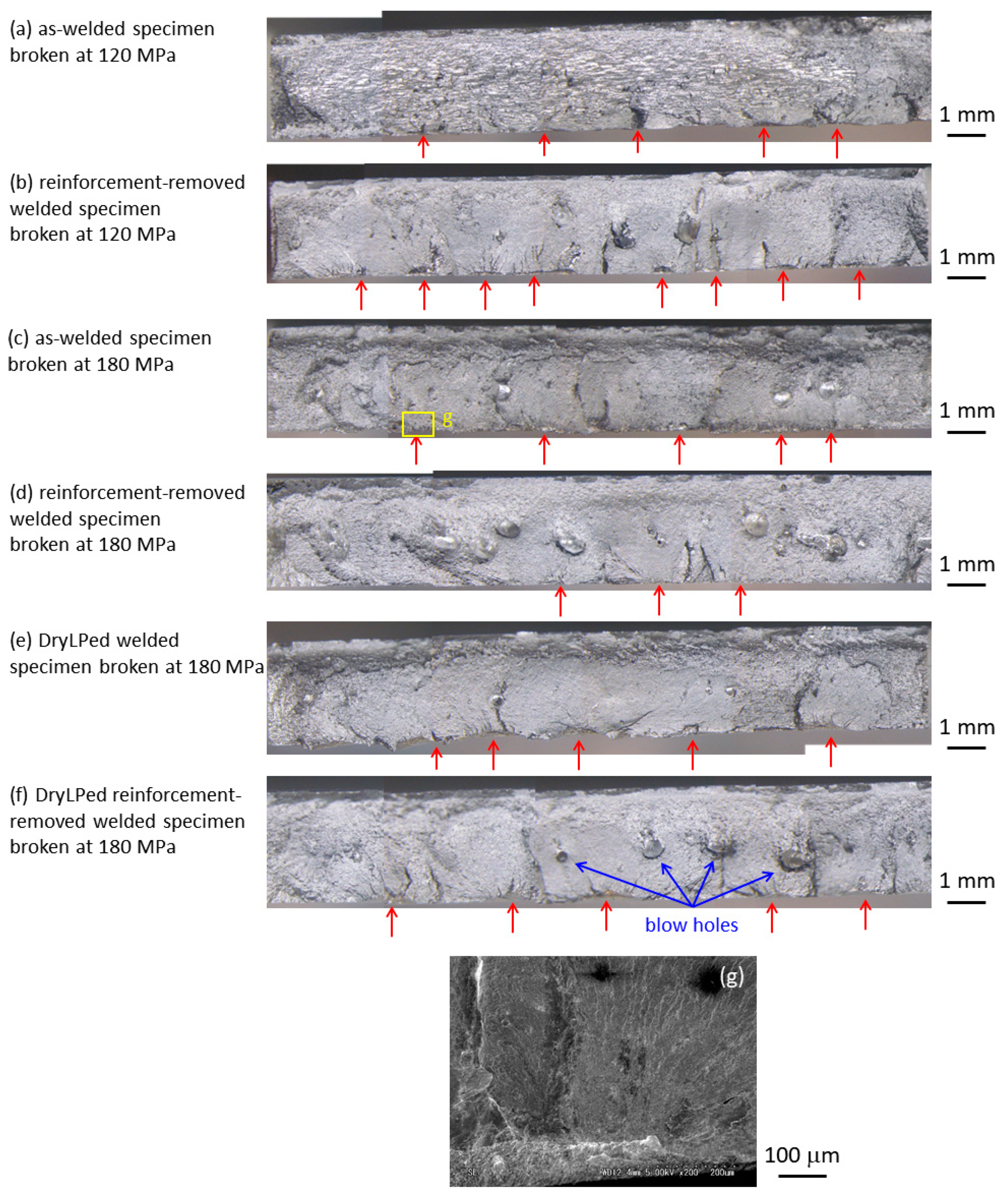 Metals 09 01192 g007