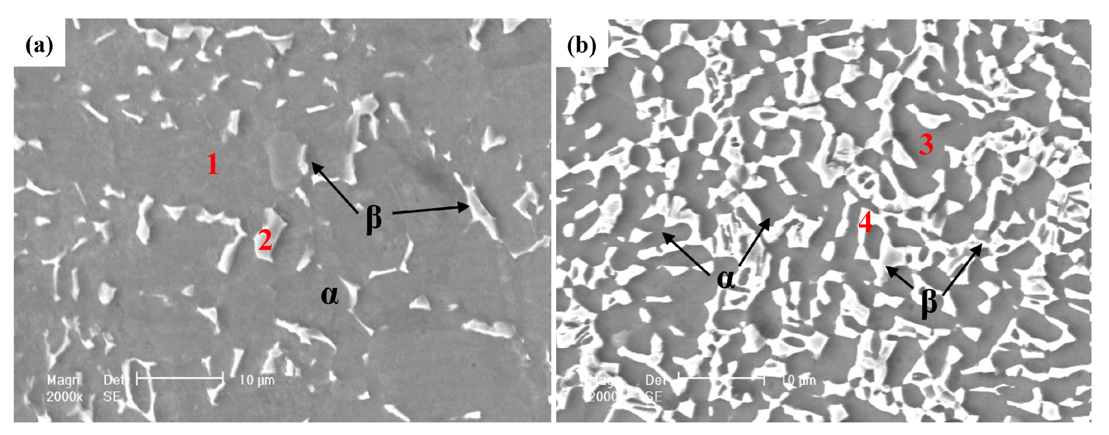 Metals 09 01213 g003