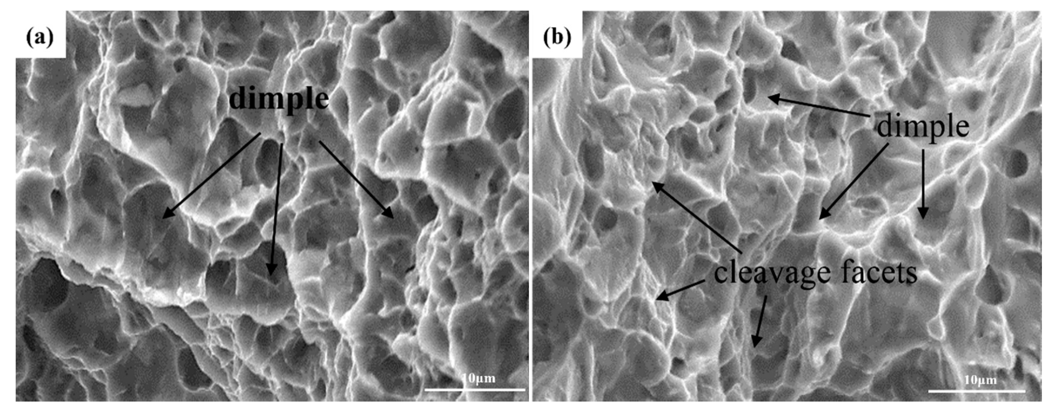 Metals 09 01213 g011