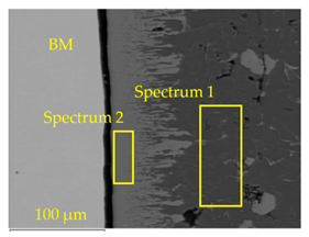 Metals 09 01232 i002 Metals 09 01232 i002