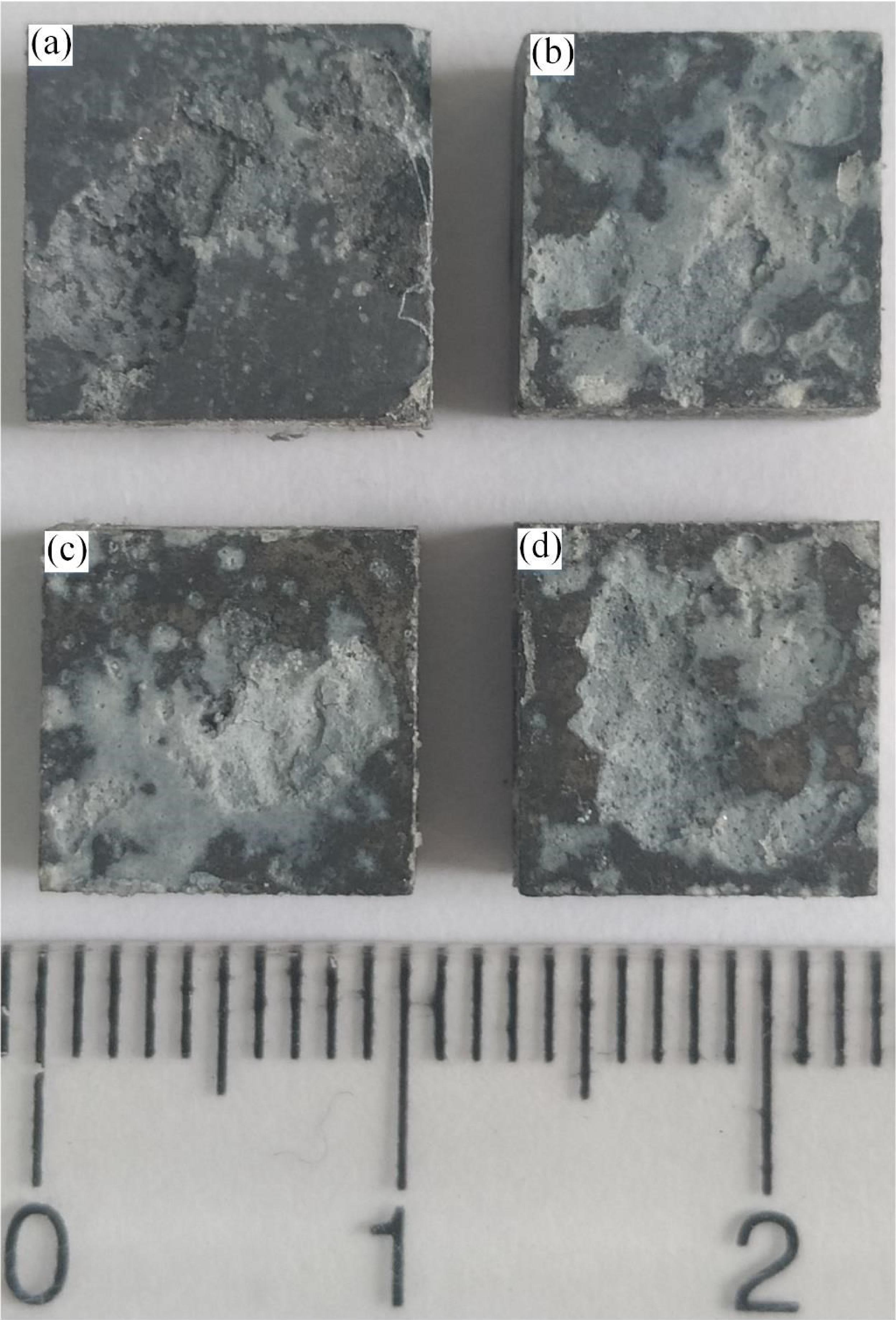 Metals 09 01237 g009