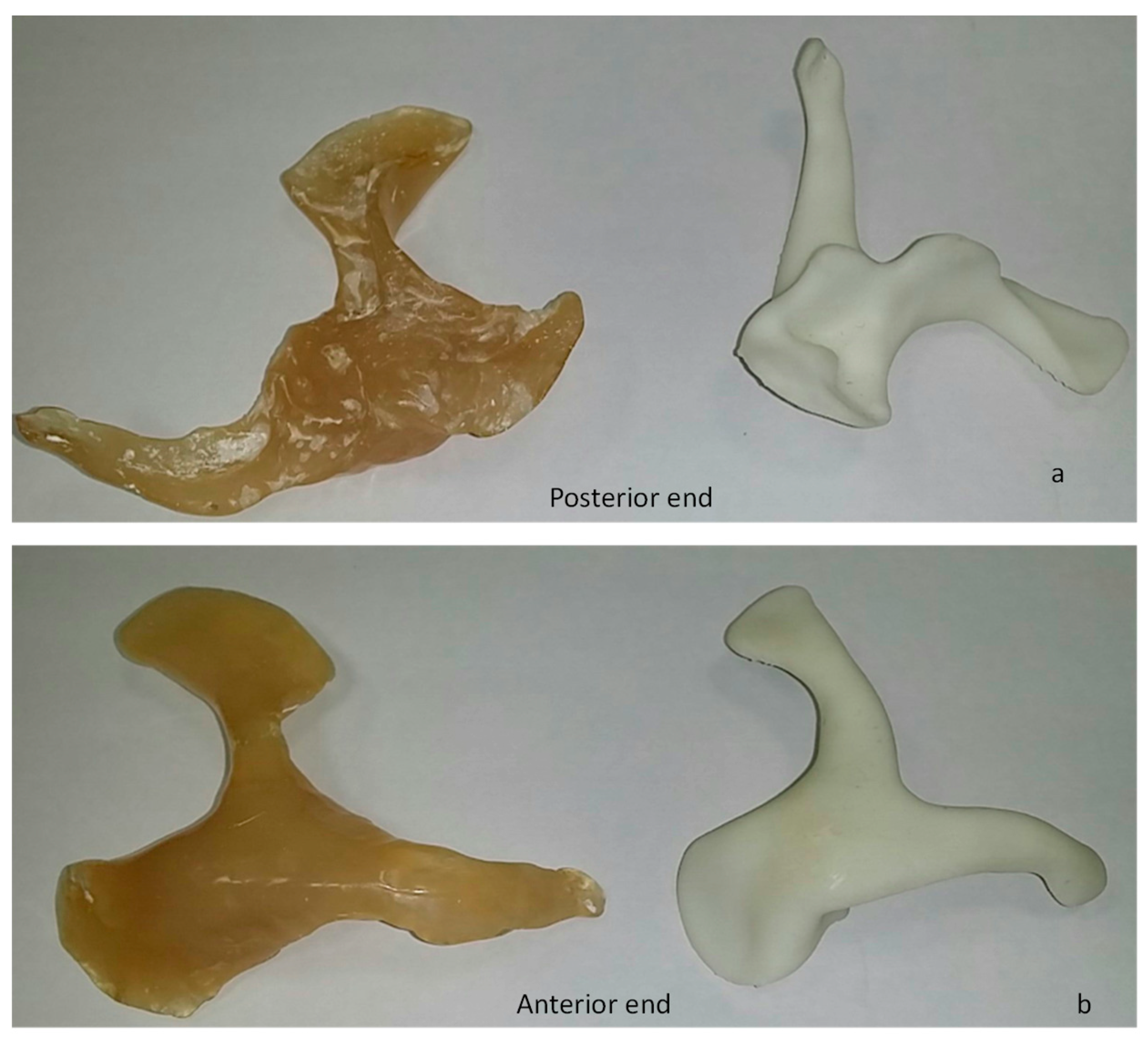 Metals 09 01250 g005