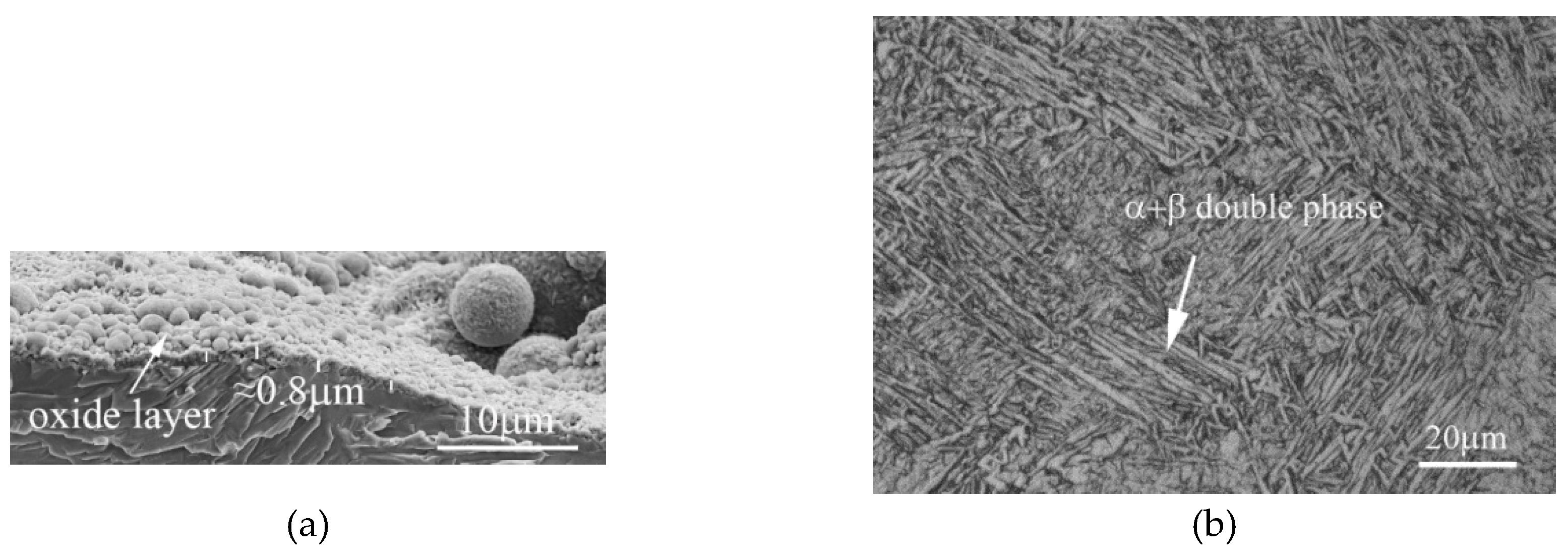 Metals 09 01267 g004